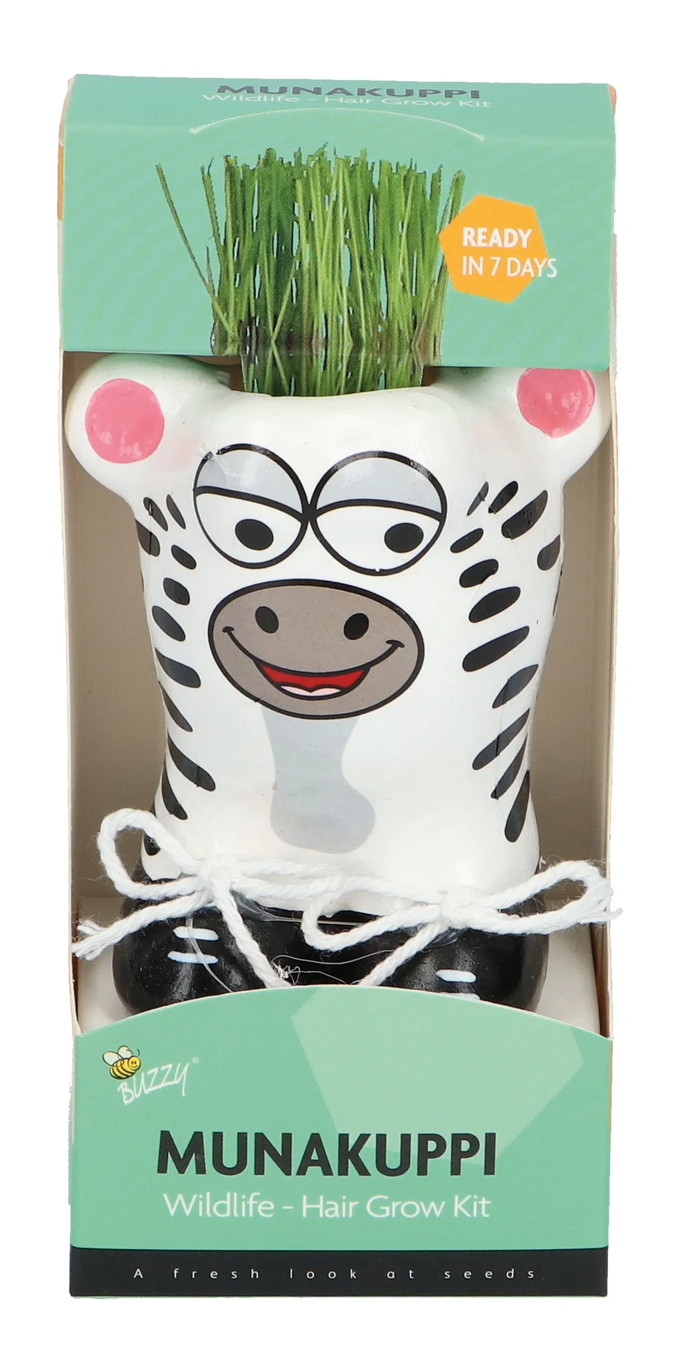 Liten kruka med prydnadsgräs Munakuppi Zebra