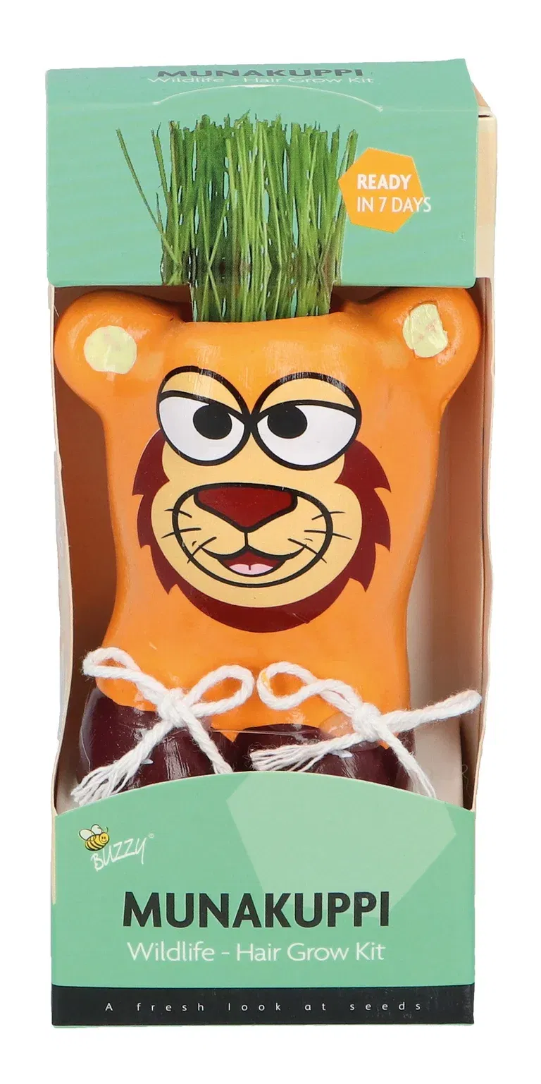 Liten kruka med prydnadsgräs Munakuppi Lejon