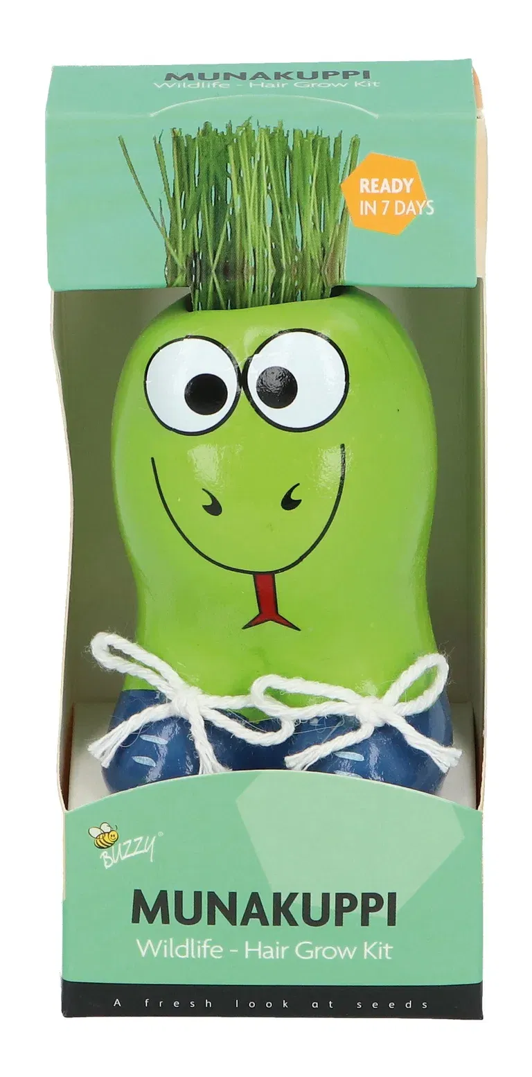 Liten kruka med prydnadsgräs Munakuppi Orm