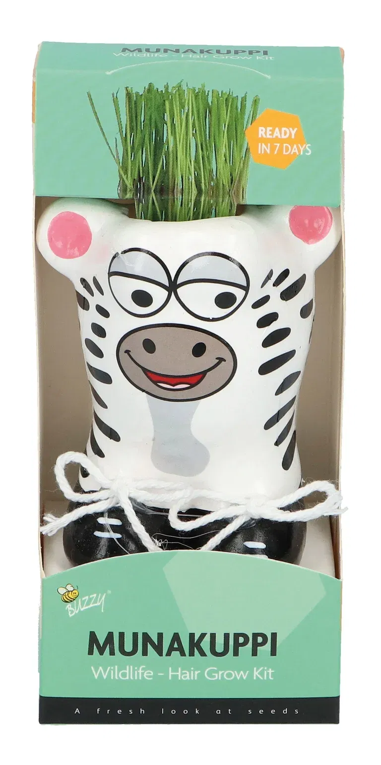 Liten kruka med prydnadsgräs Munakuppi Zebra