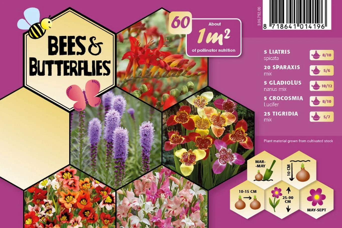Bee & Butterfly Garden