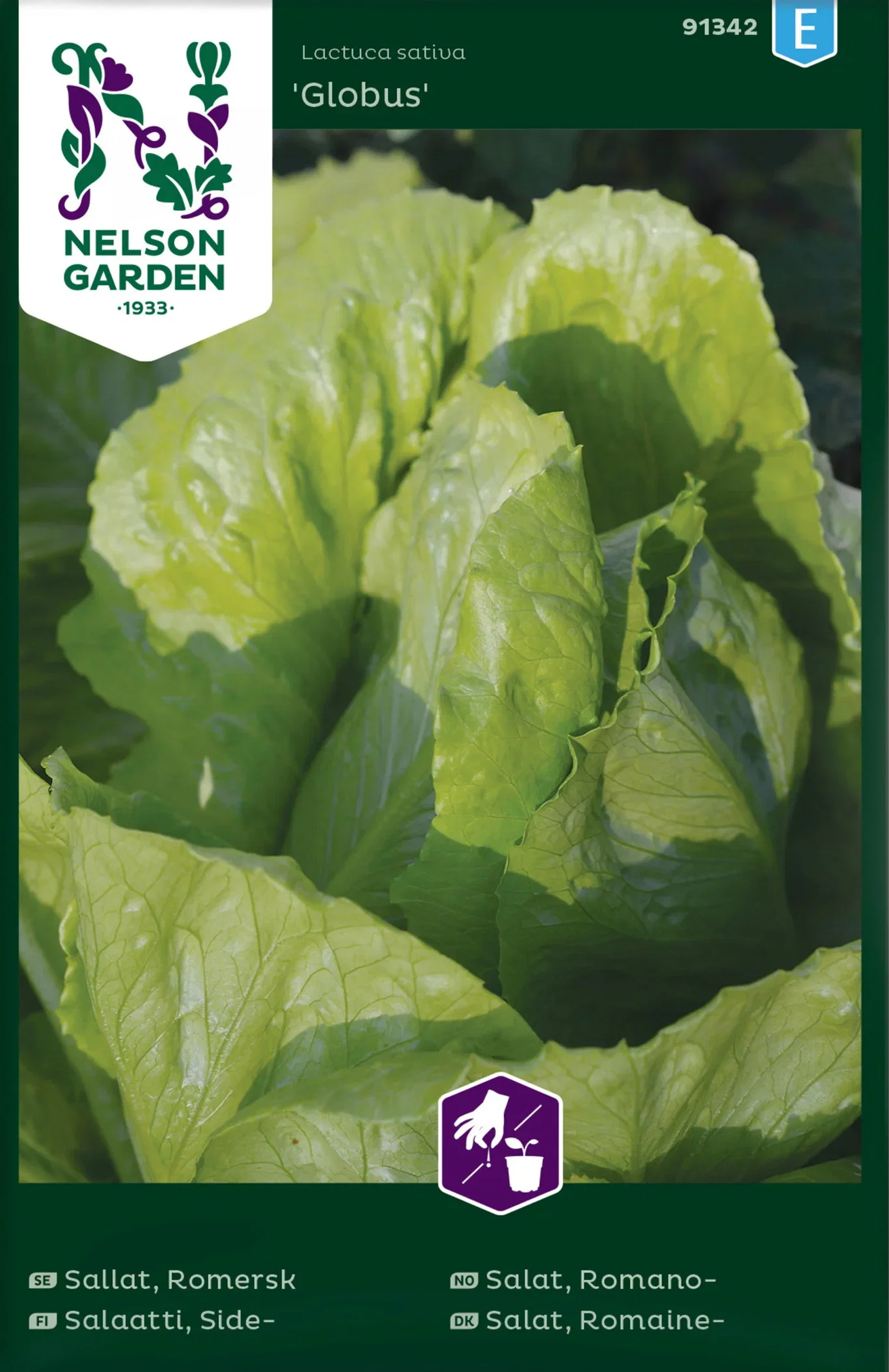 Romersk sallat 'Globus'