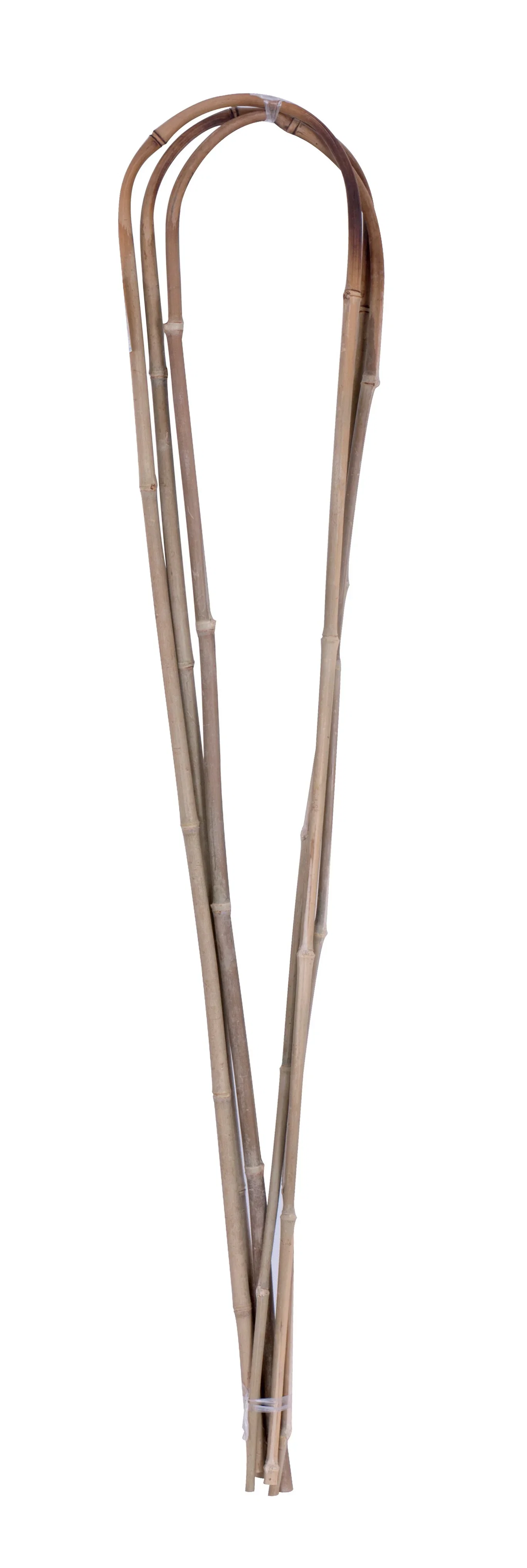 Växtstöd bambubåge 3-pack