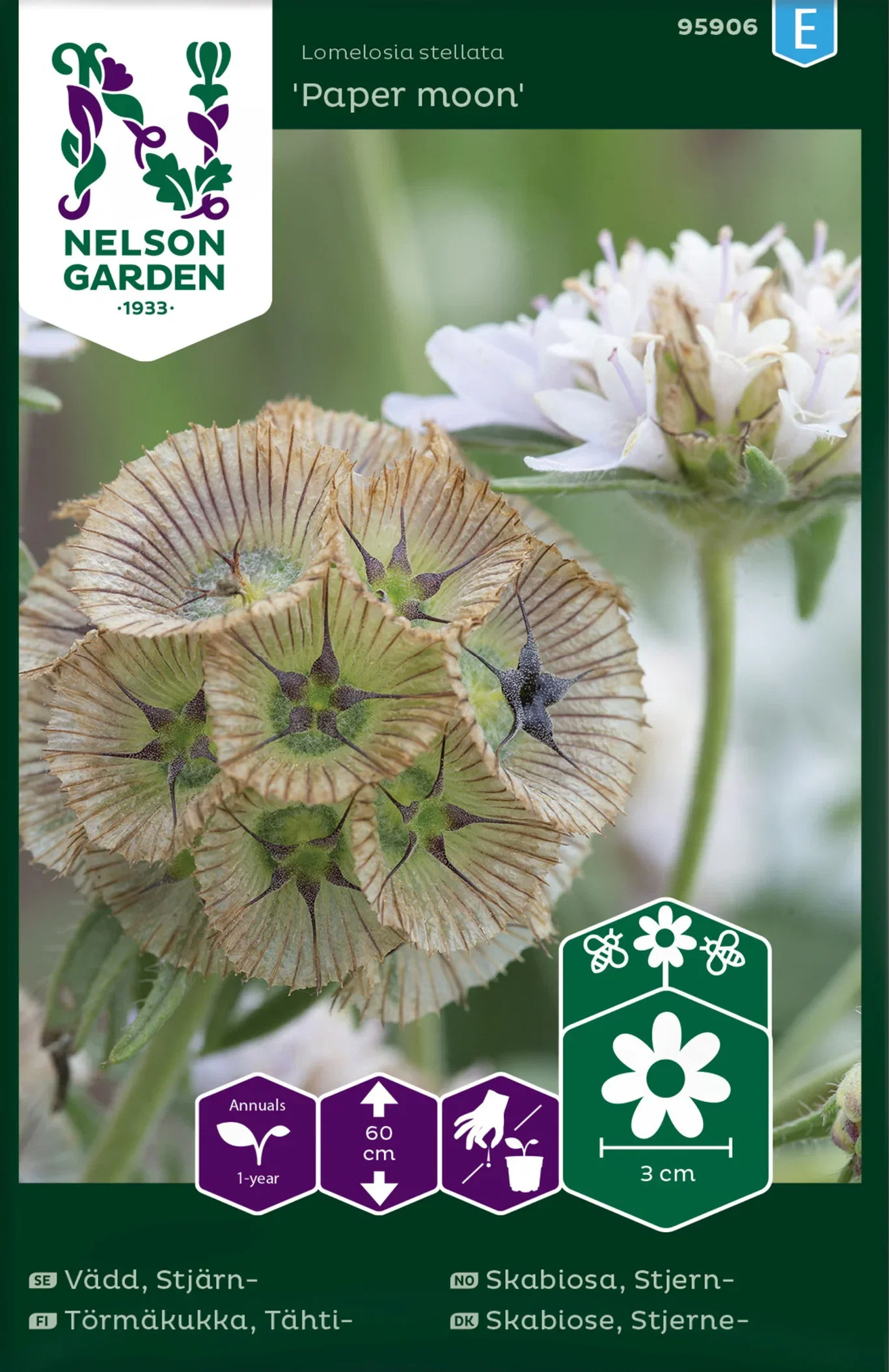 Vädd, Stjärn-, Paper moon