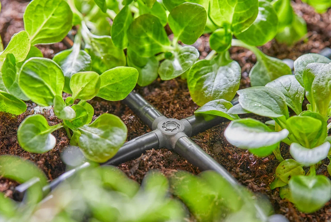 4-Way Coupling 4,6 mm (3/16")