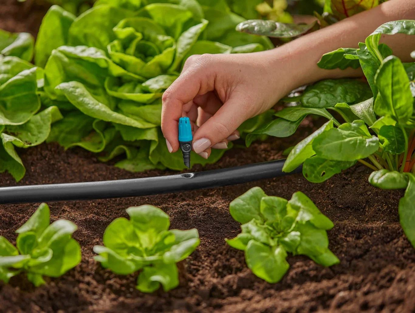 Small Area Spray Nozzle