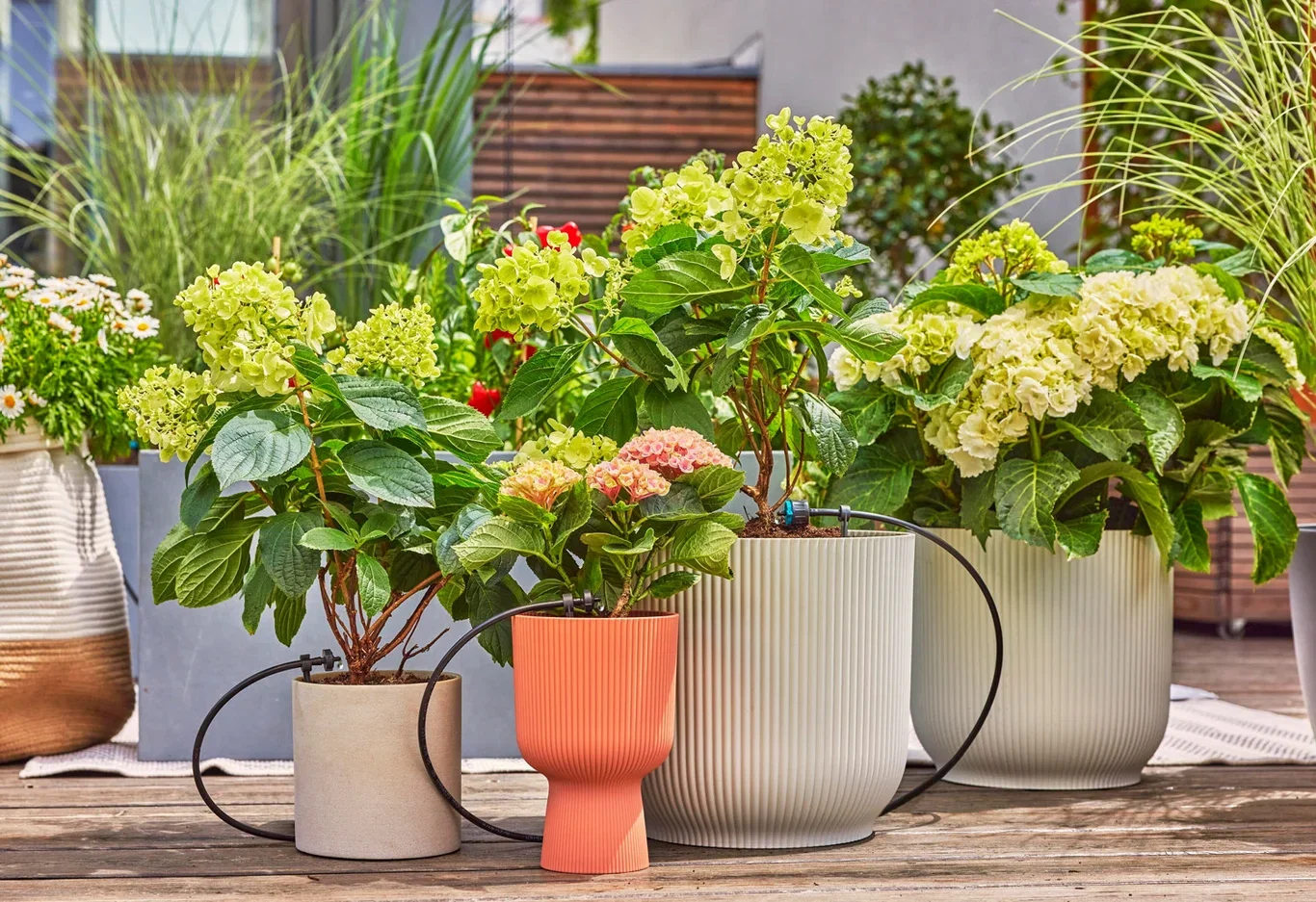 Startset balkong GARDENA