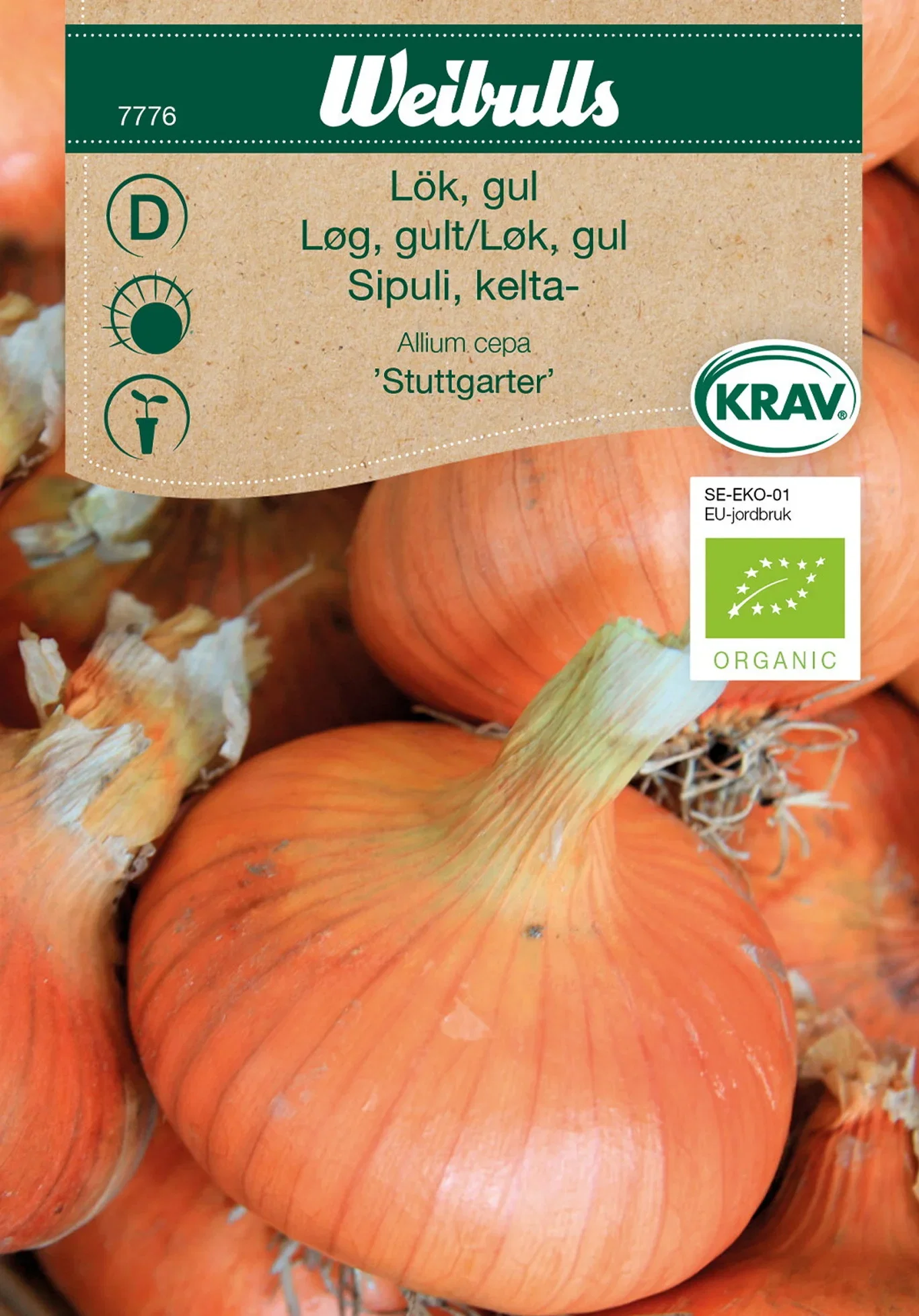 Gul lök 'Stuttgarter' KRAV