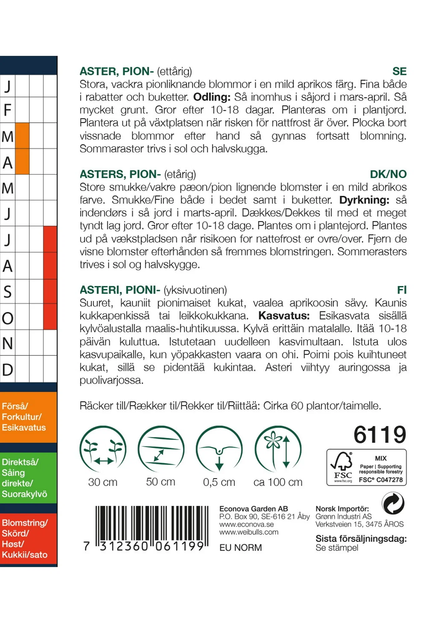Pionaster 'Peony Chamois'