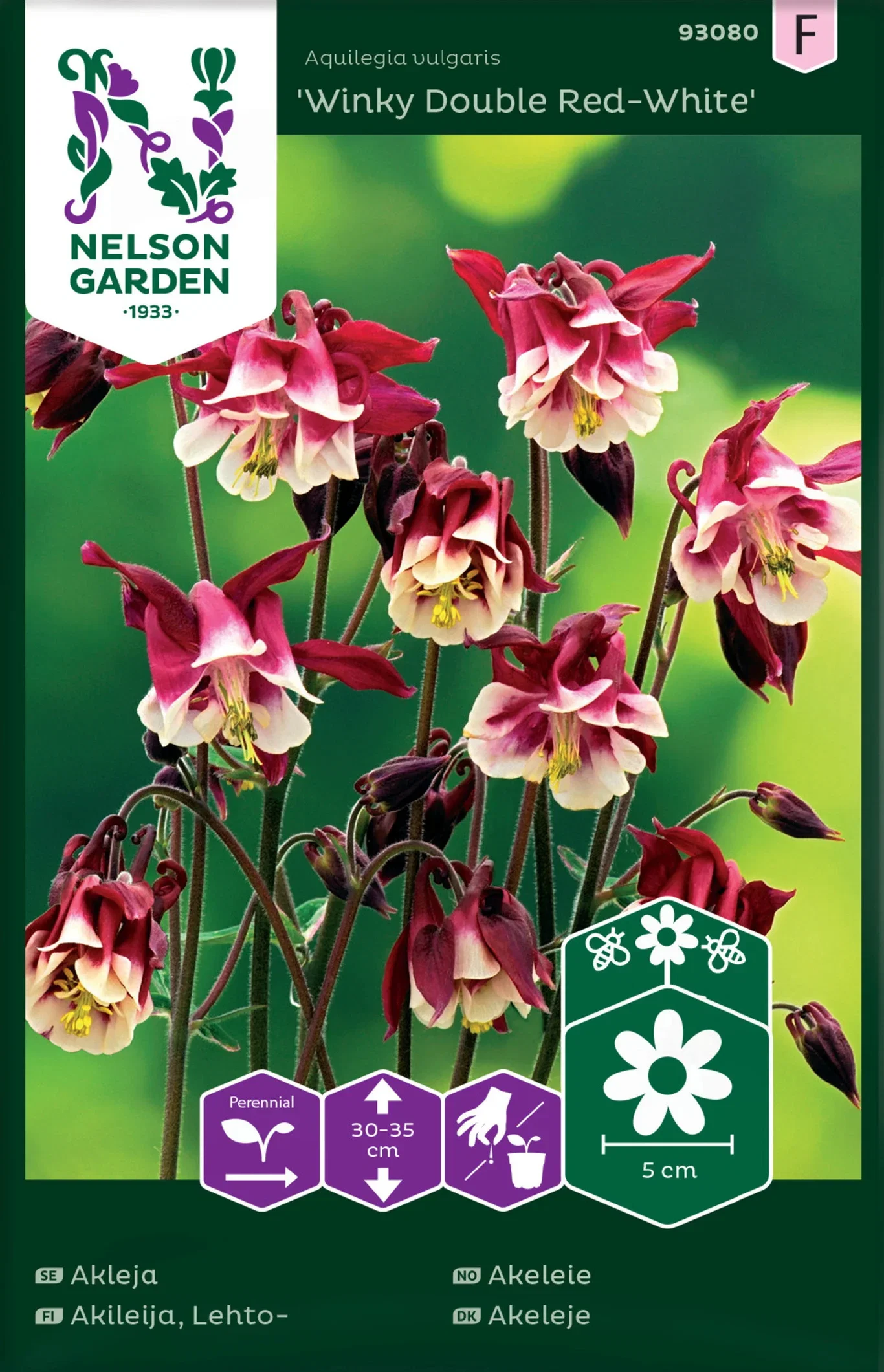 Akleja, Winky Double Red-White