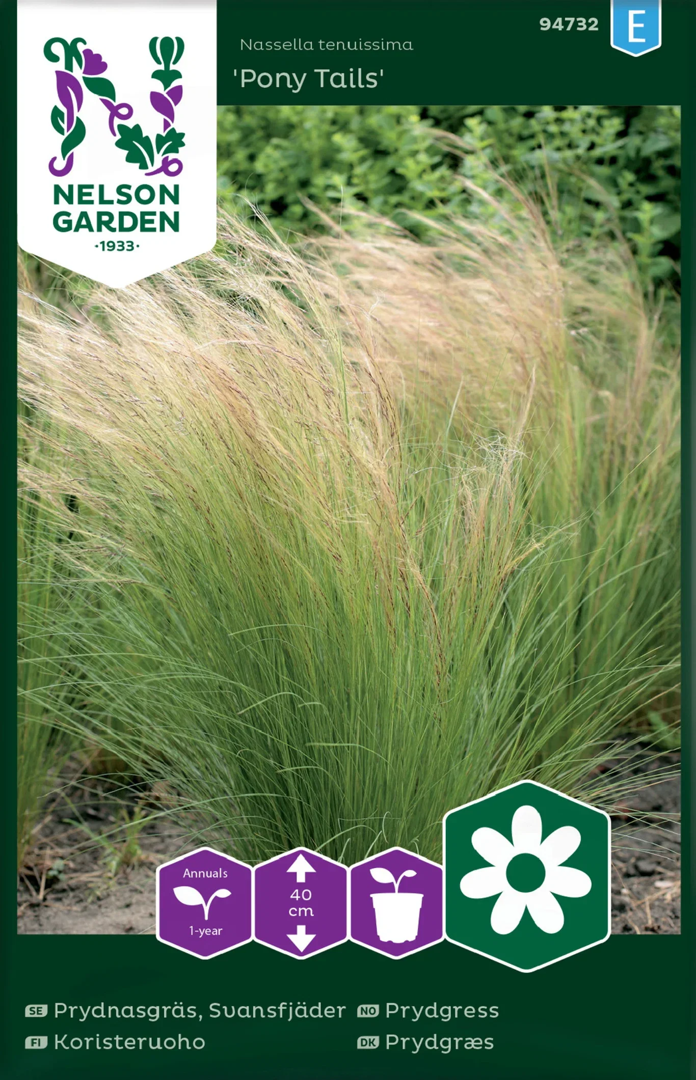 Prydnadsgräs, Pony Tails