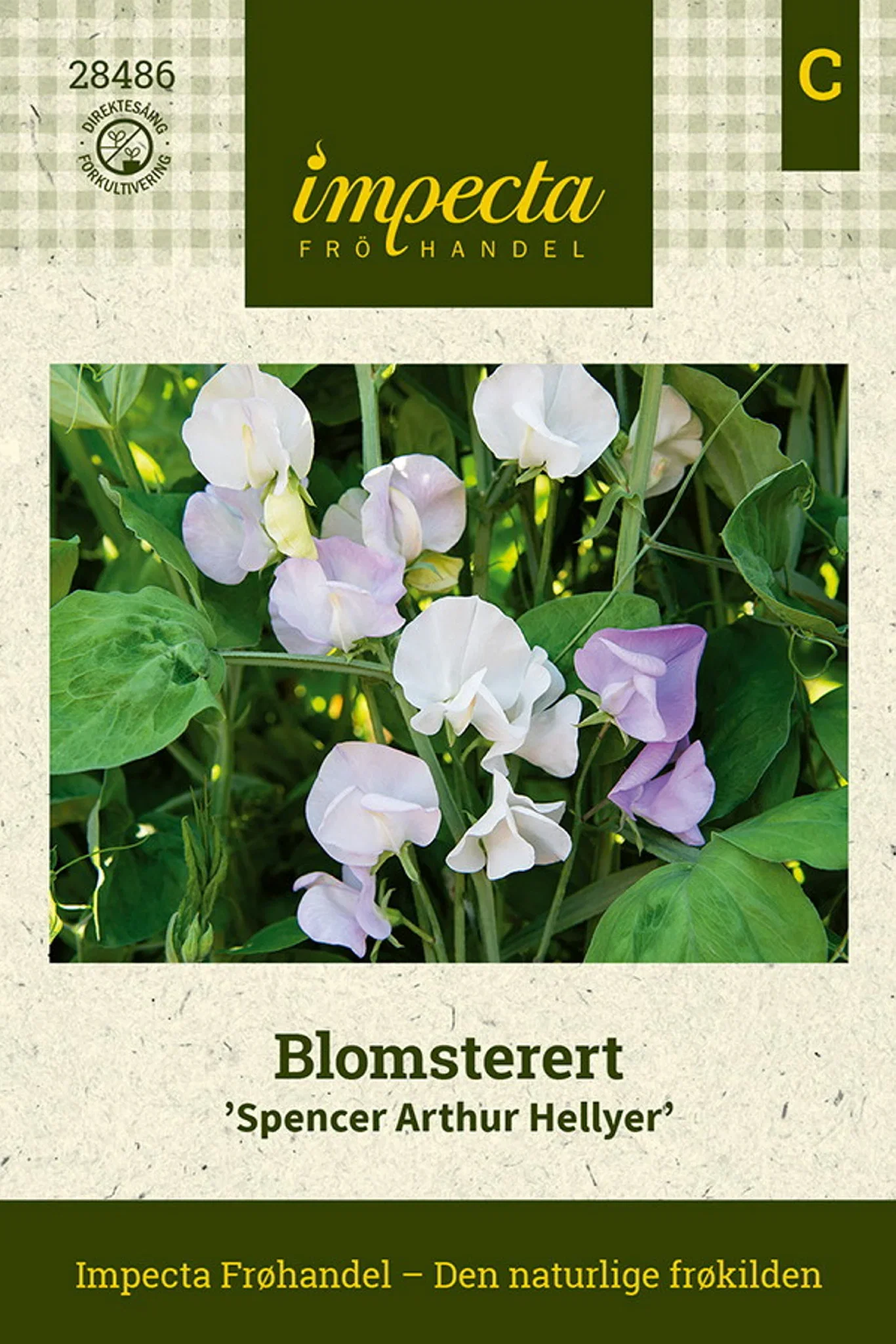 Blomsterert 'Spencer Arthur Hellyer'