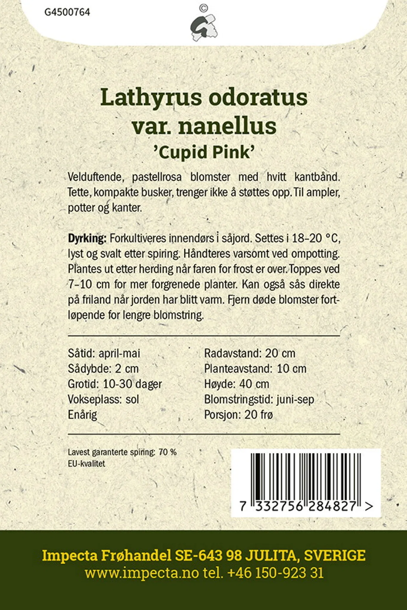 Dvergblomsterert 'Cupid Pink'