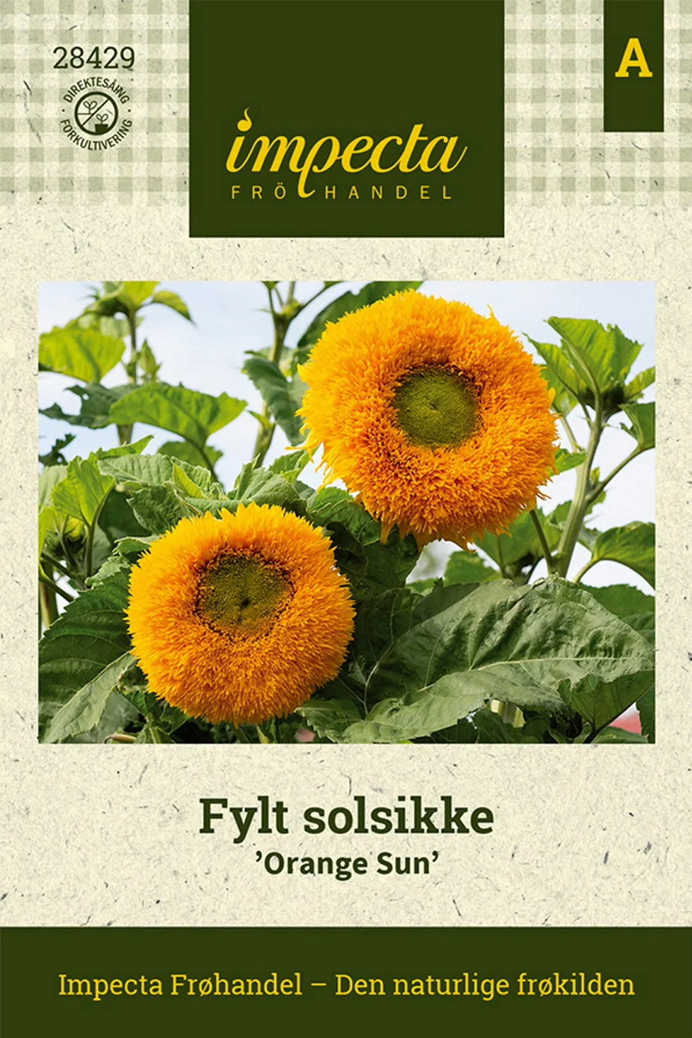 Fylt solsikke 'Orange Sun'