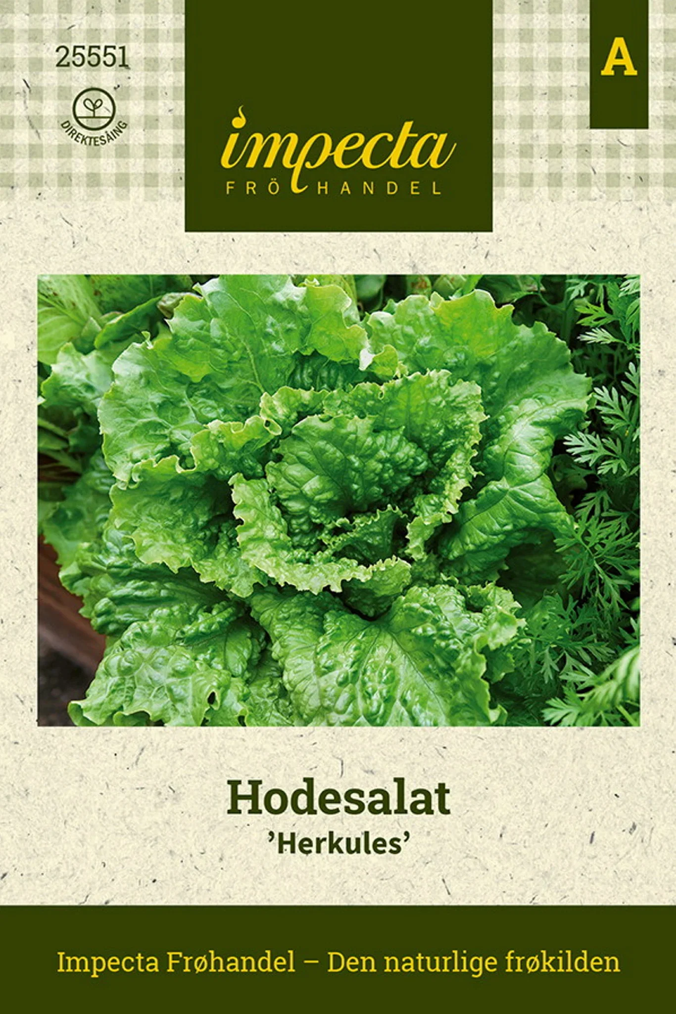 Hodesalat 'Herkules'