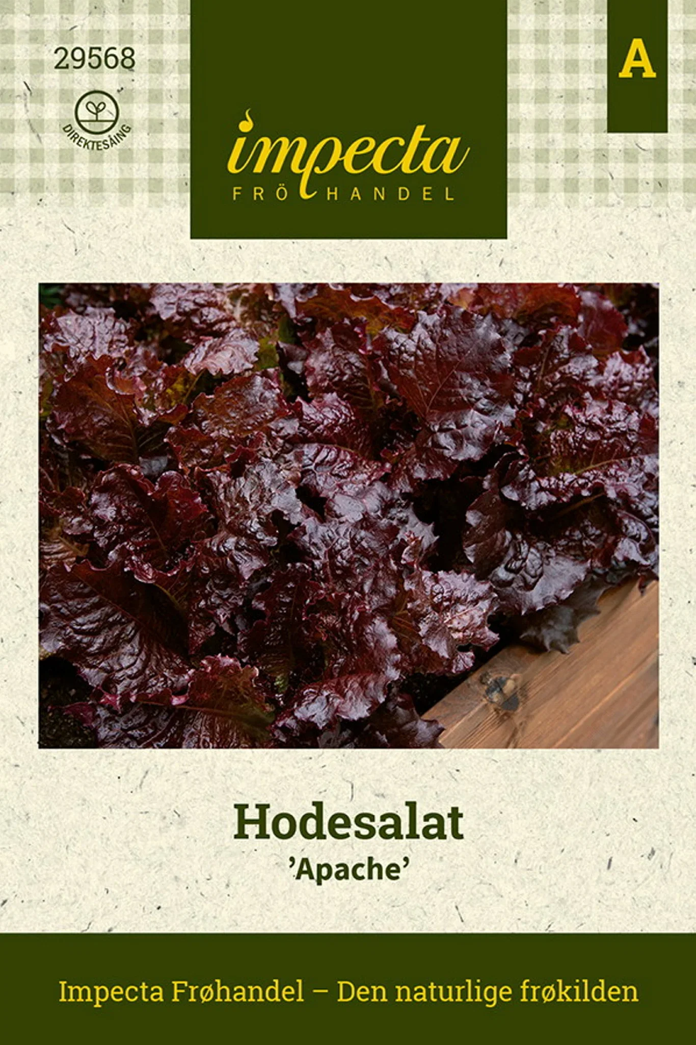 Hodesalat 'Apache'