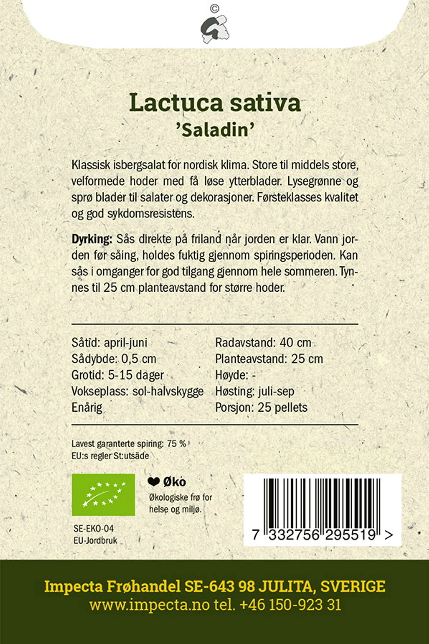 Isbergsalat 'Saladin'