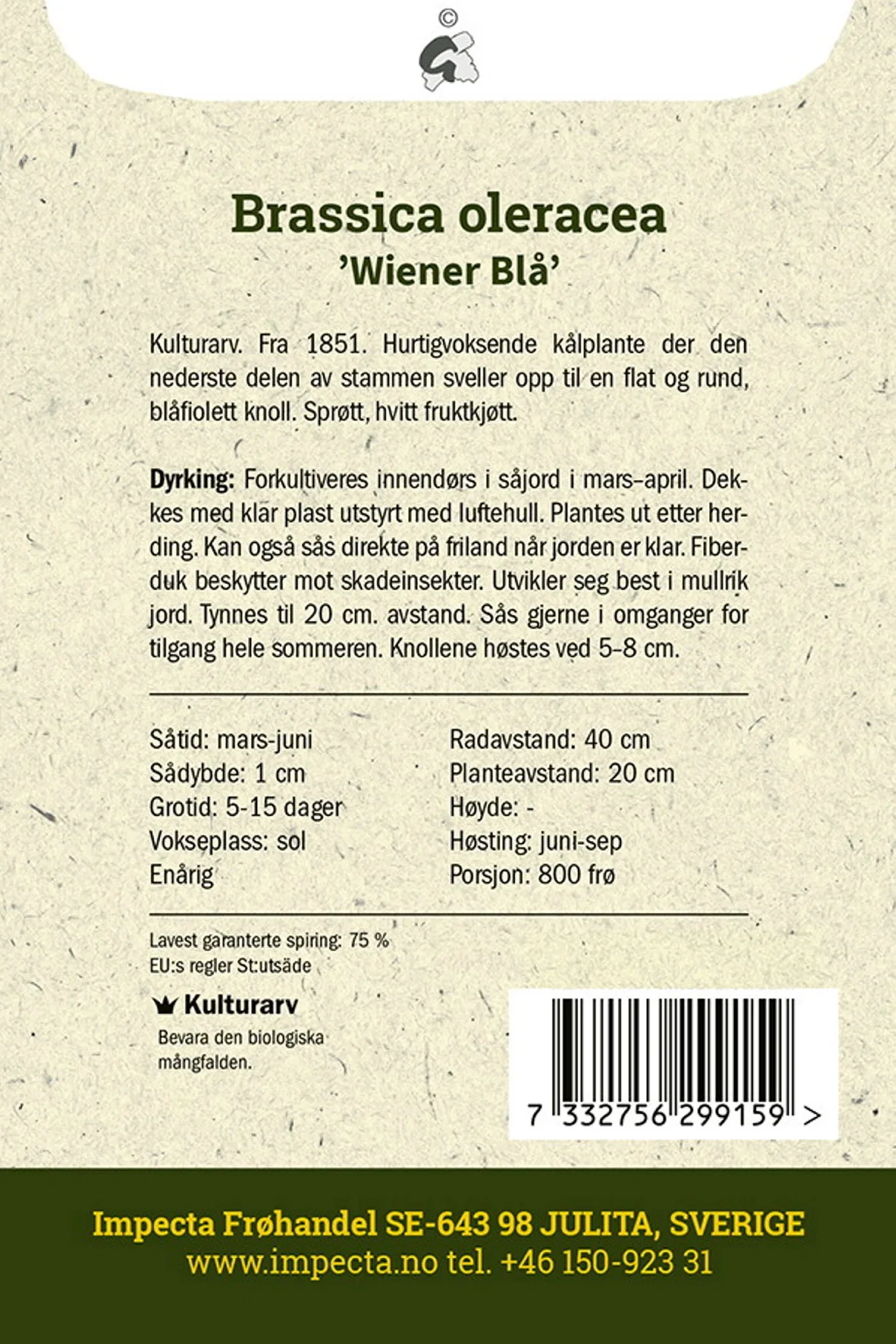 Knutekål 'Wiener Blå'