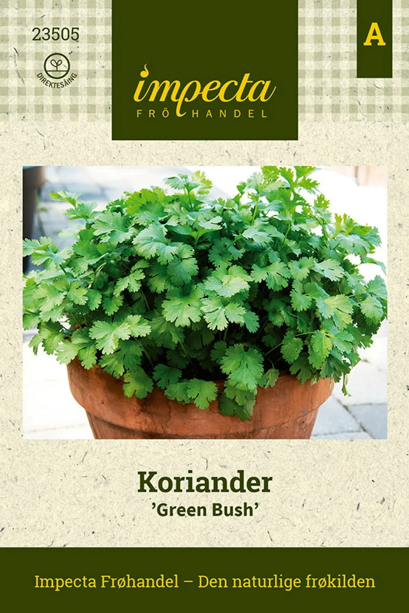 Koriander 'Green Bush'