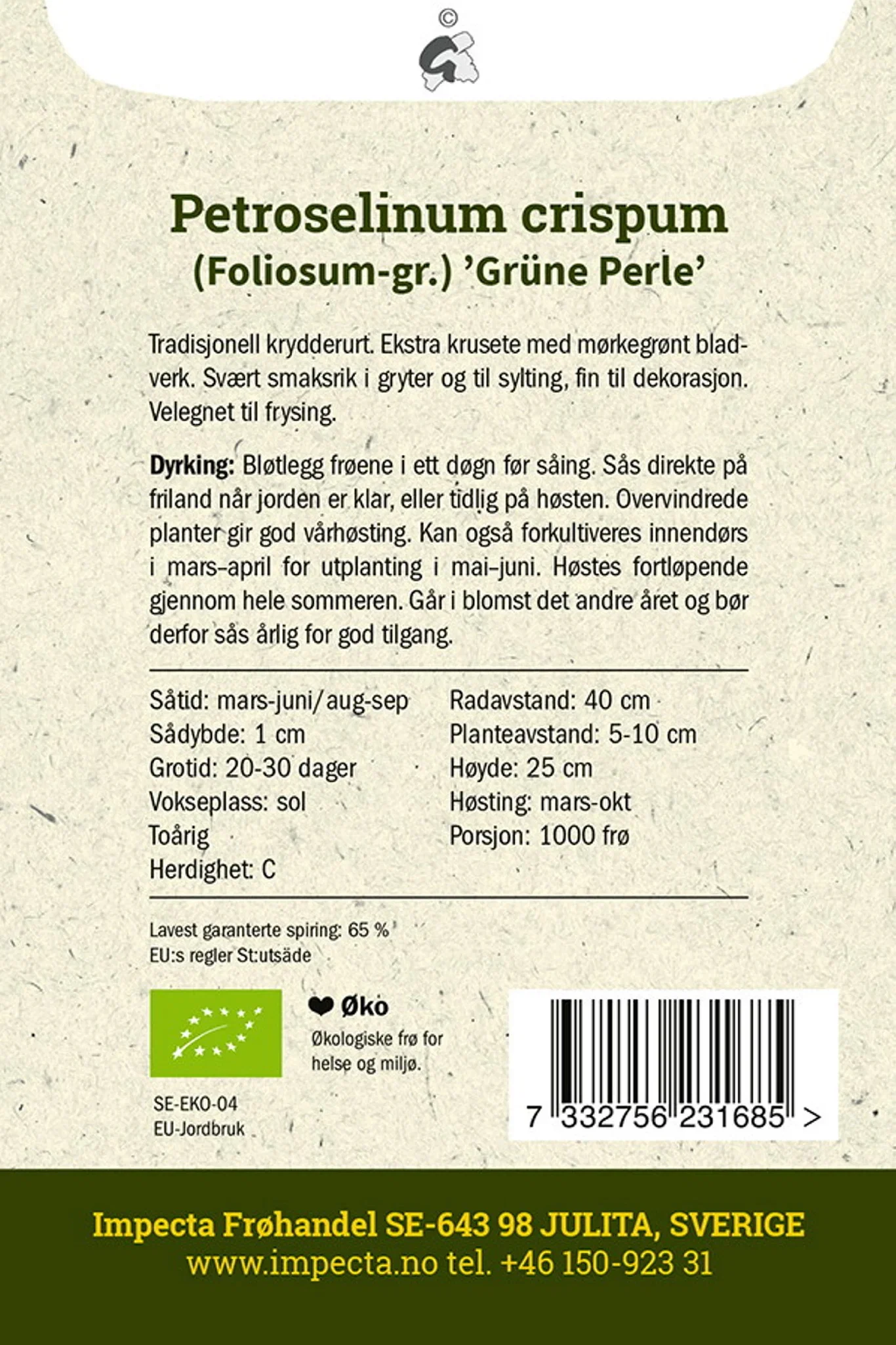 Kruspersille 'Grüne Perle'