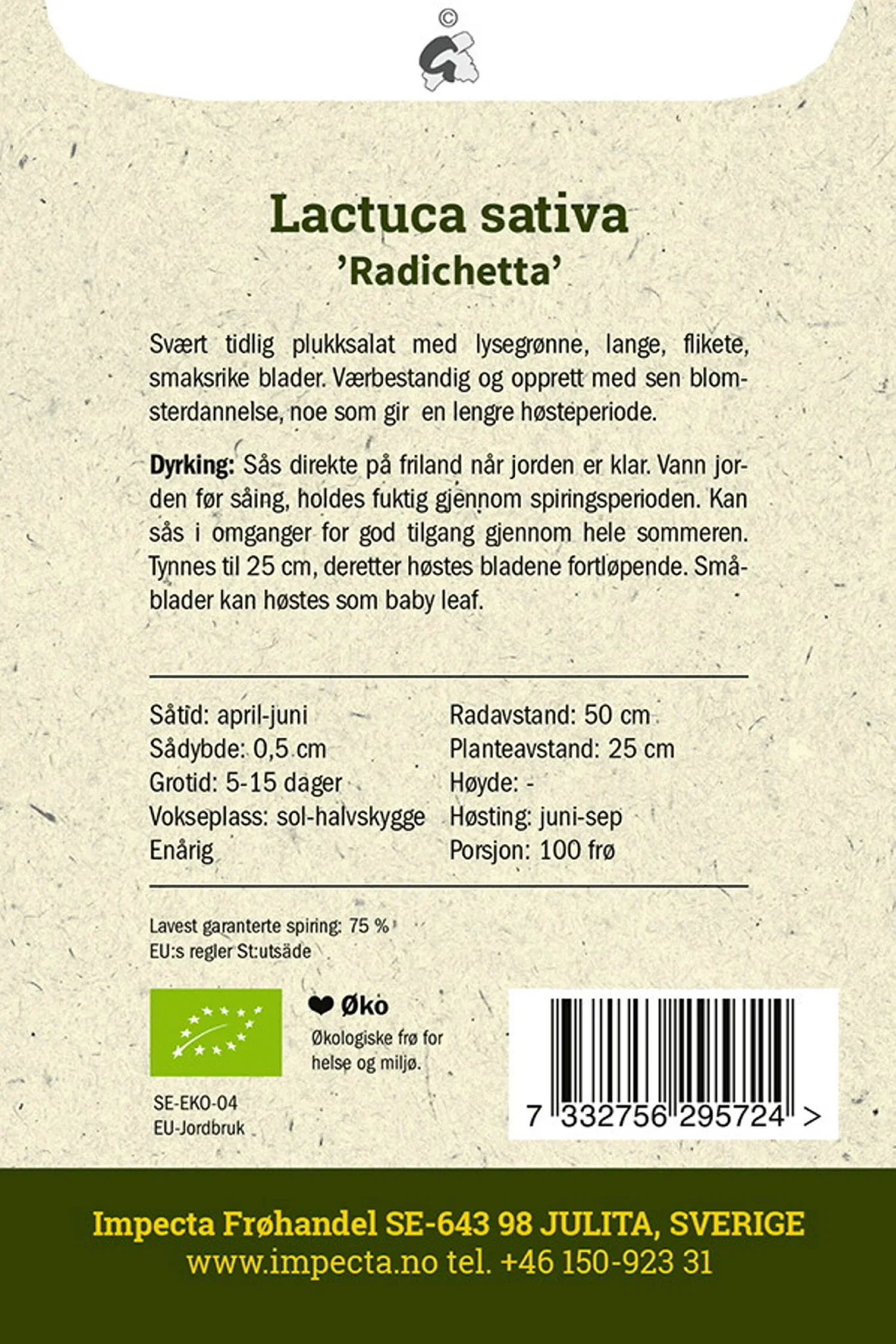 Sallat 'Radichetta'