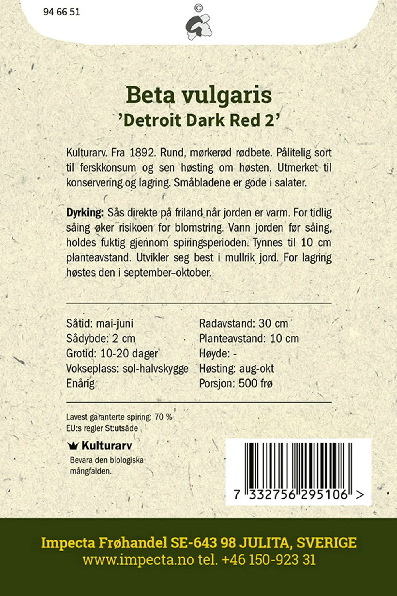 Rødbete 'Detroit Dark Red 2'