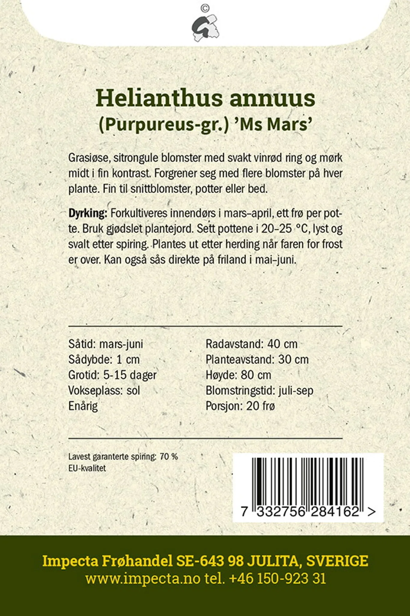 Rød solsikke 'Ms Mars'