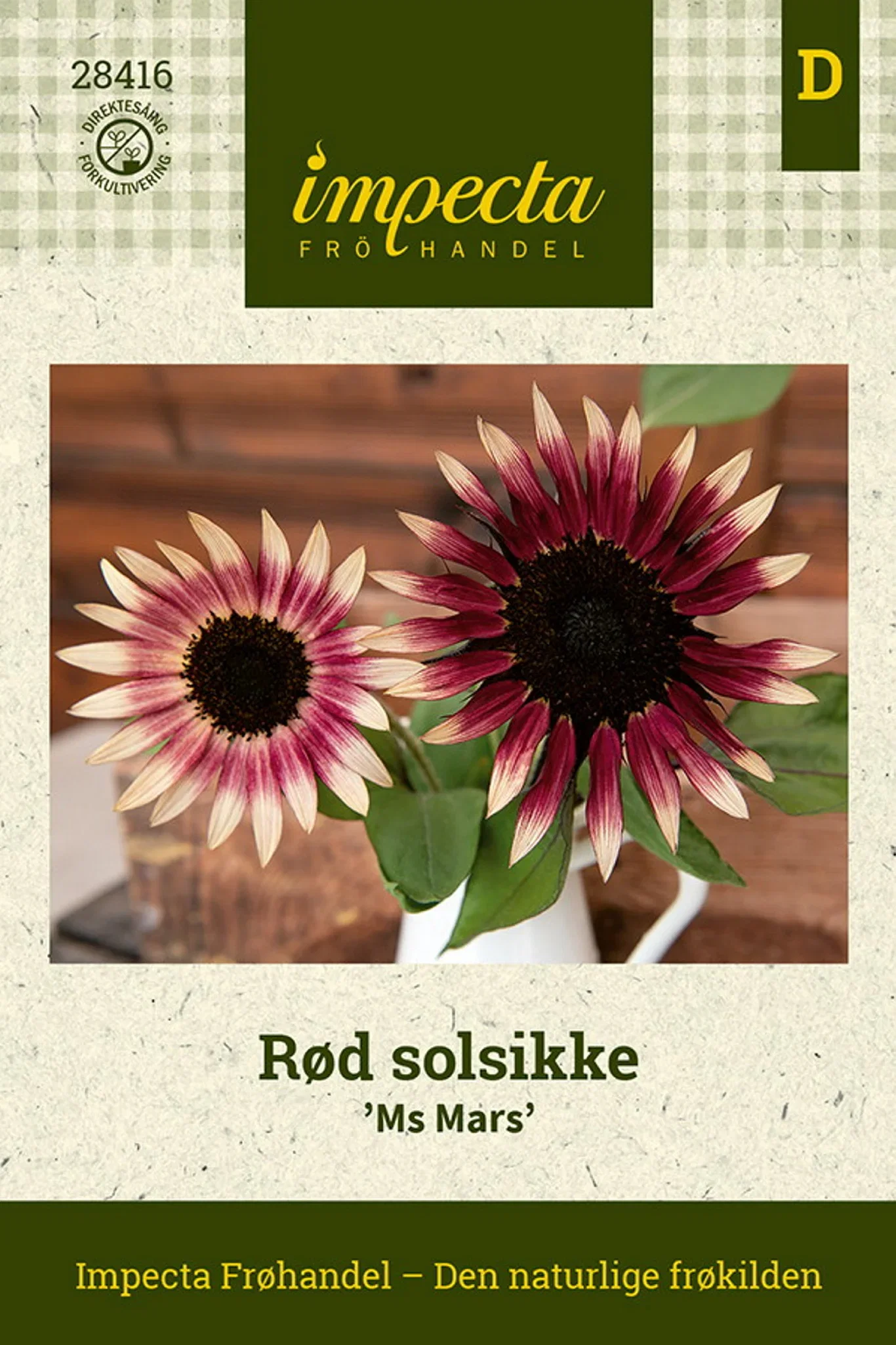 Rød solsikke 'Ms Mars'