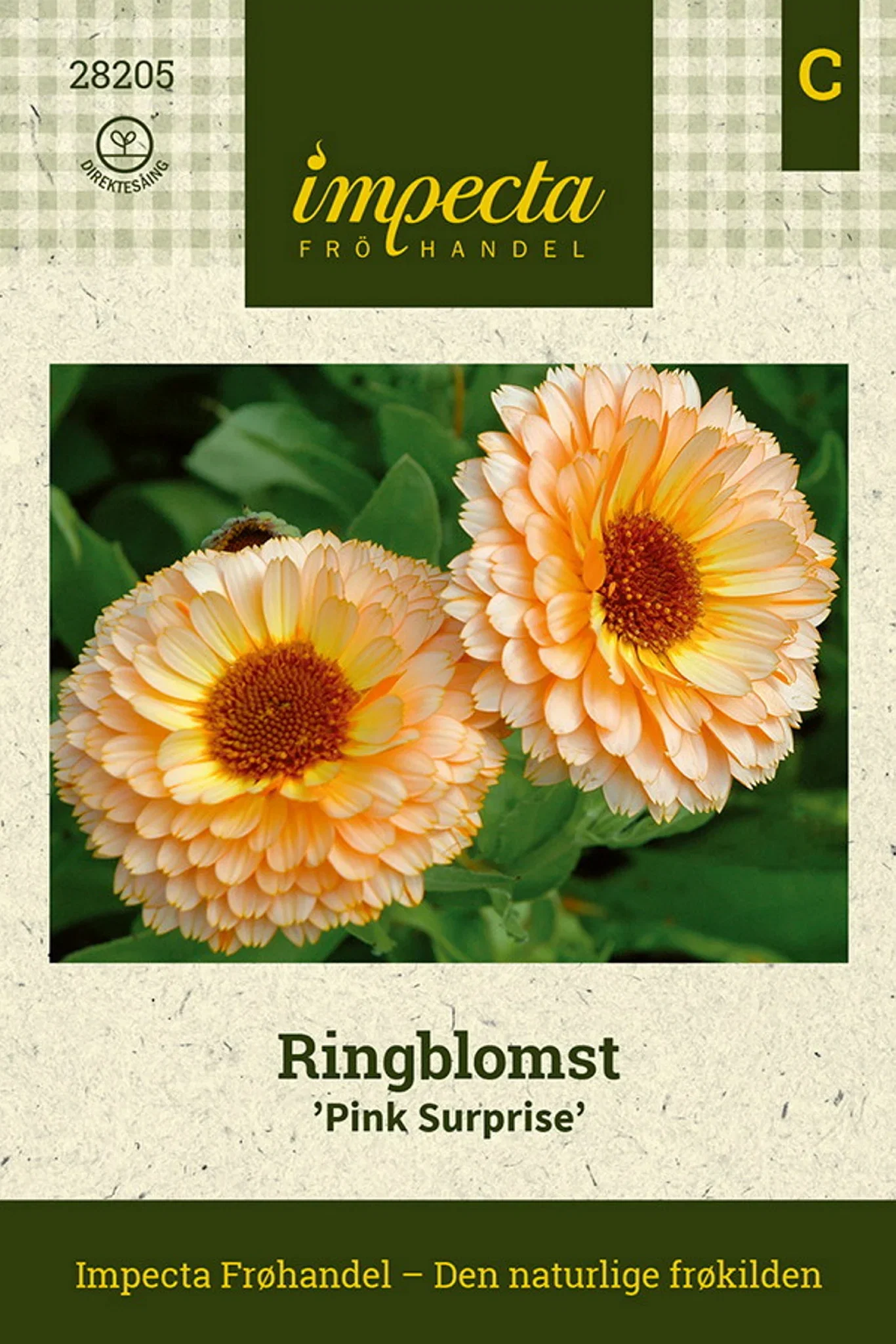 Ringblomma 'Pink Surprise'
