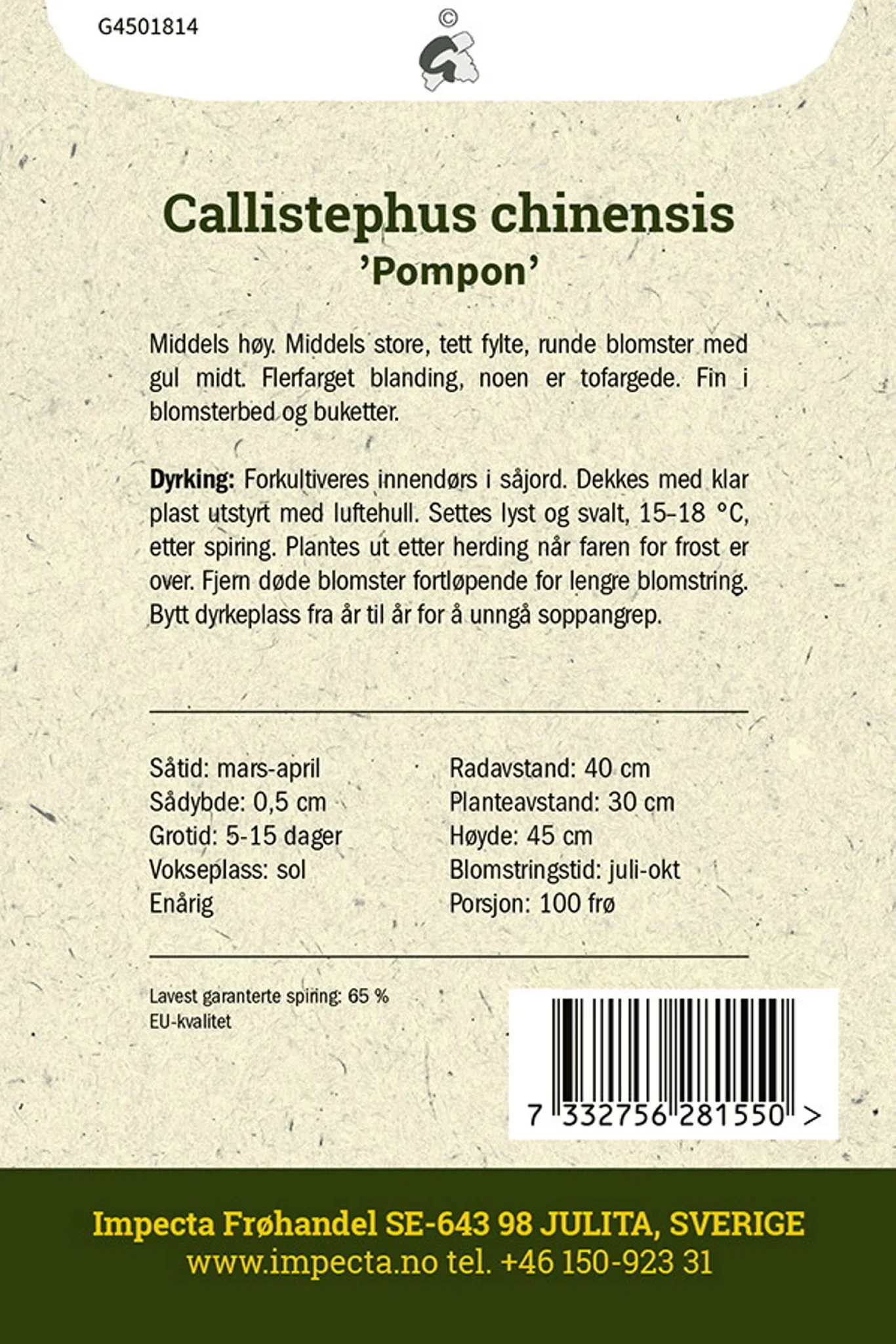 Sommerasters 'Pompon'