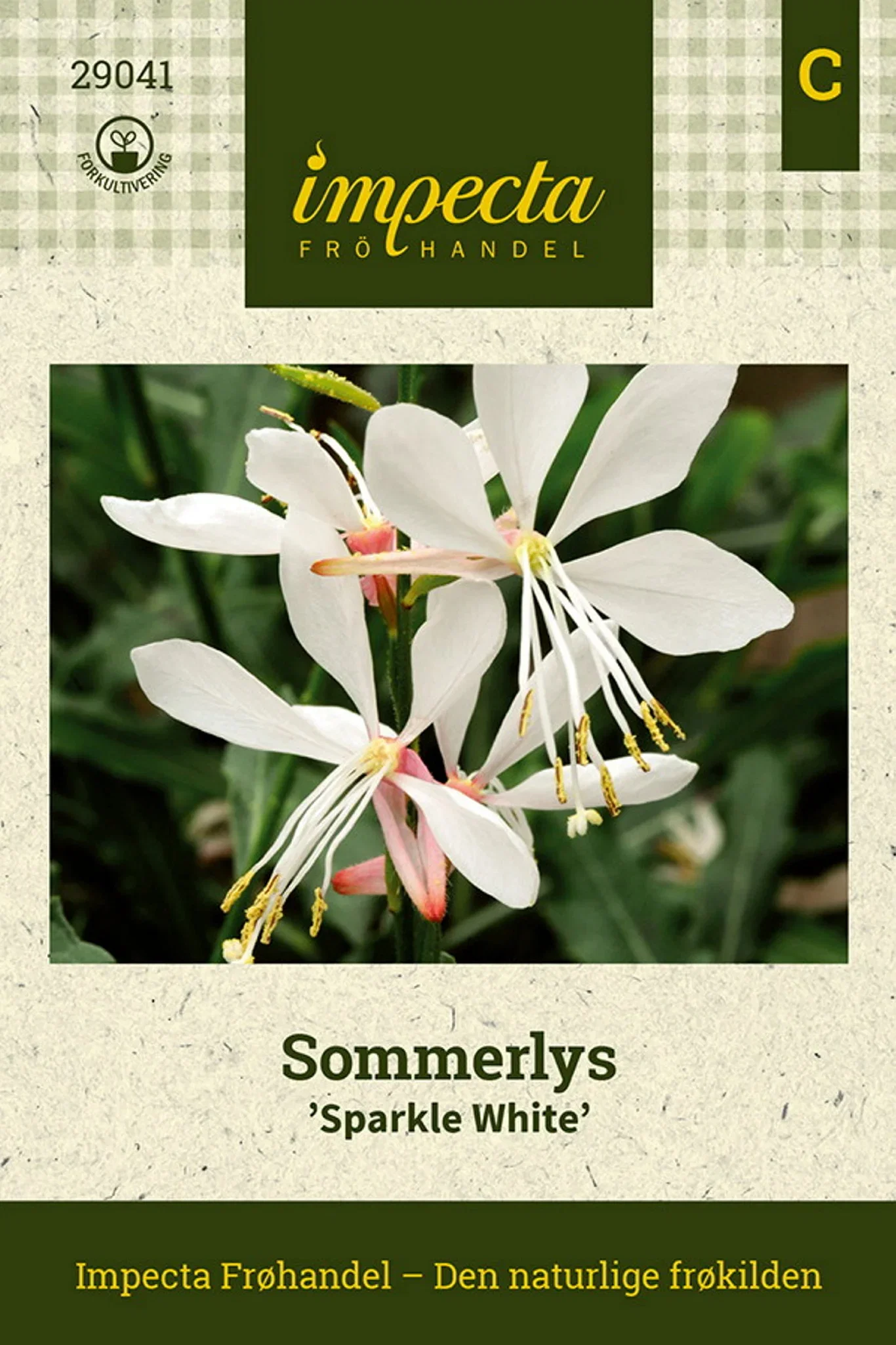 Sommerlys 'Sparkle White'