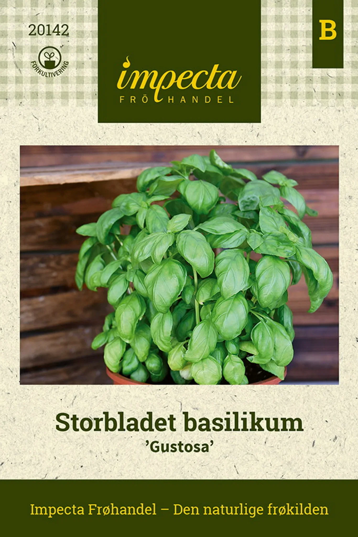 Storbladet basilikum 'Gustosa'