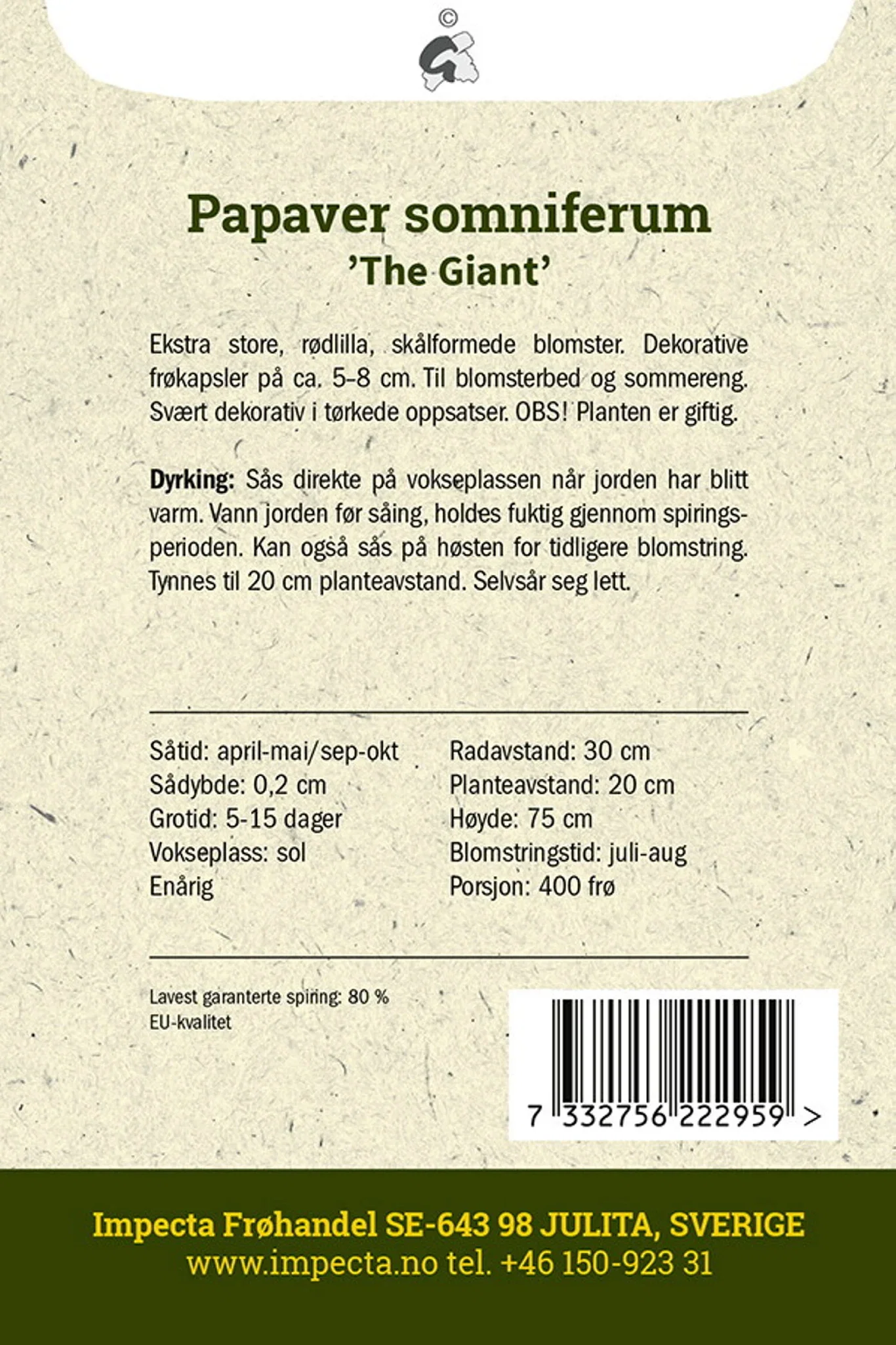 Valmue 'The Giant'