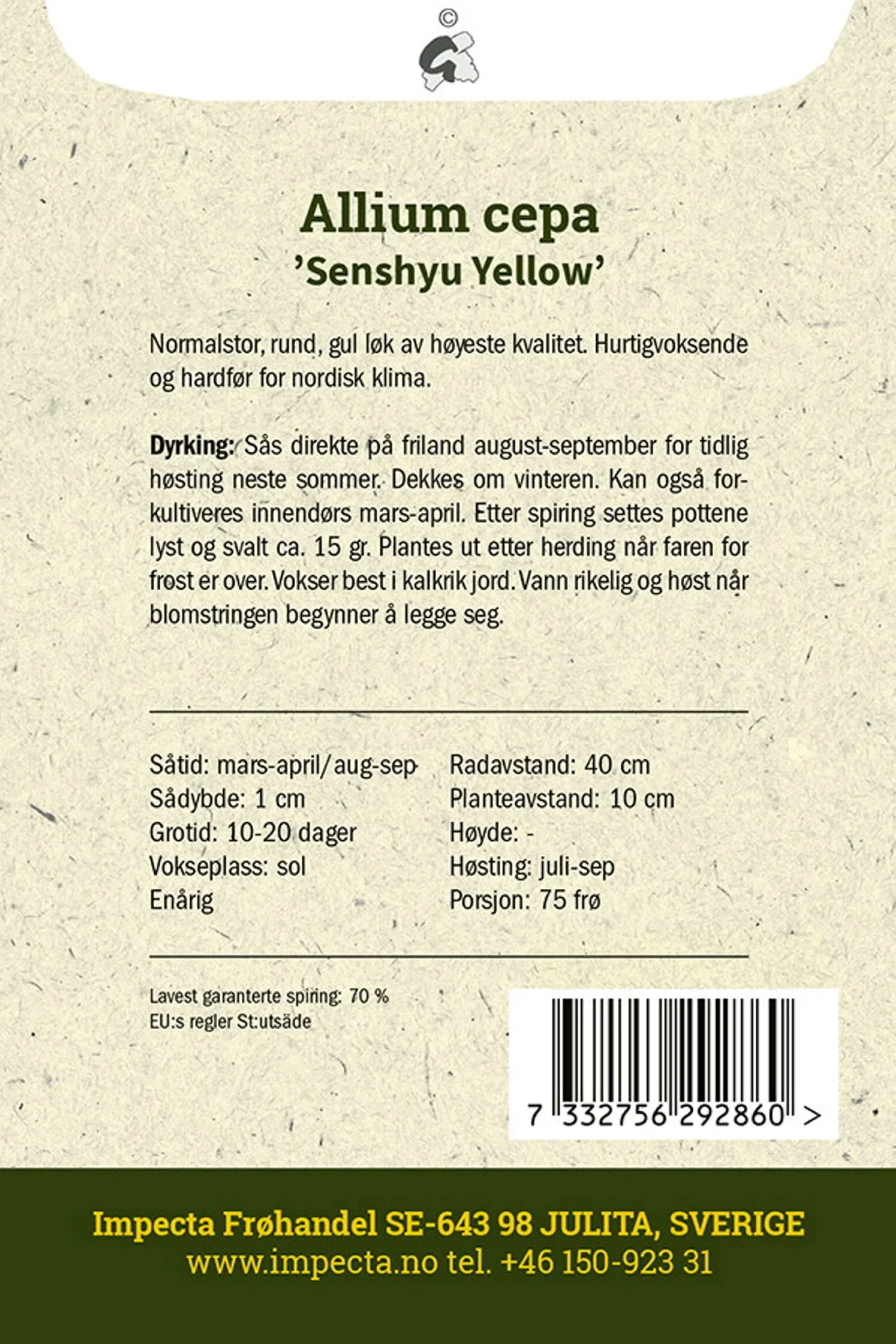 Vinterlök 'Senshyu Yellow'