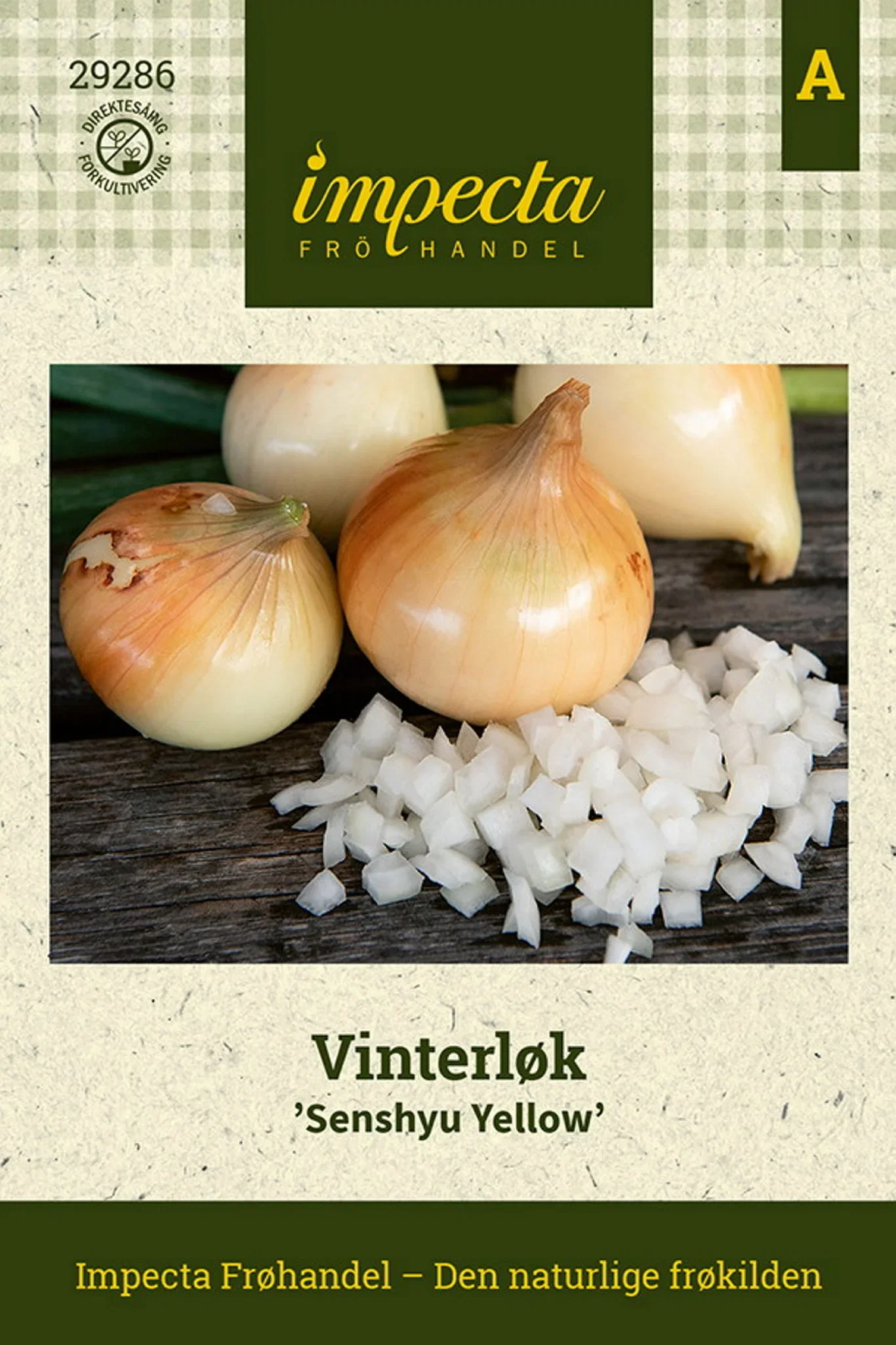 Vinterlök 'Senshyu Yellow'