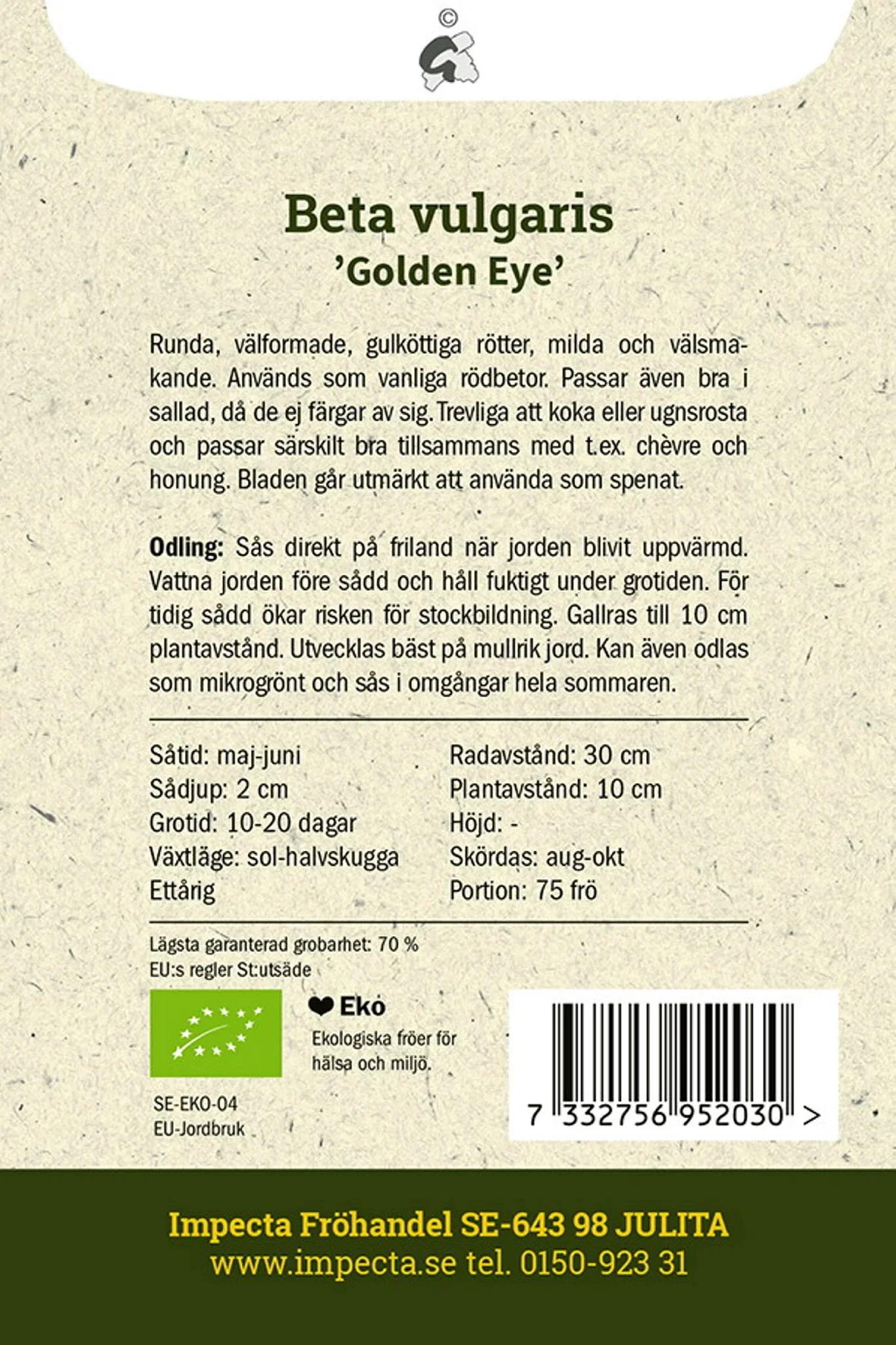 Gul Rödbeta 'Golden Eye'