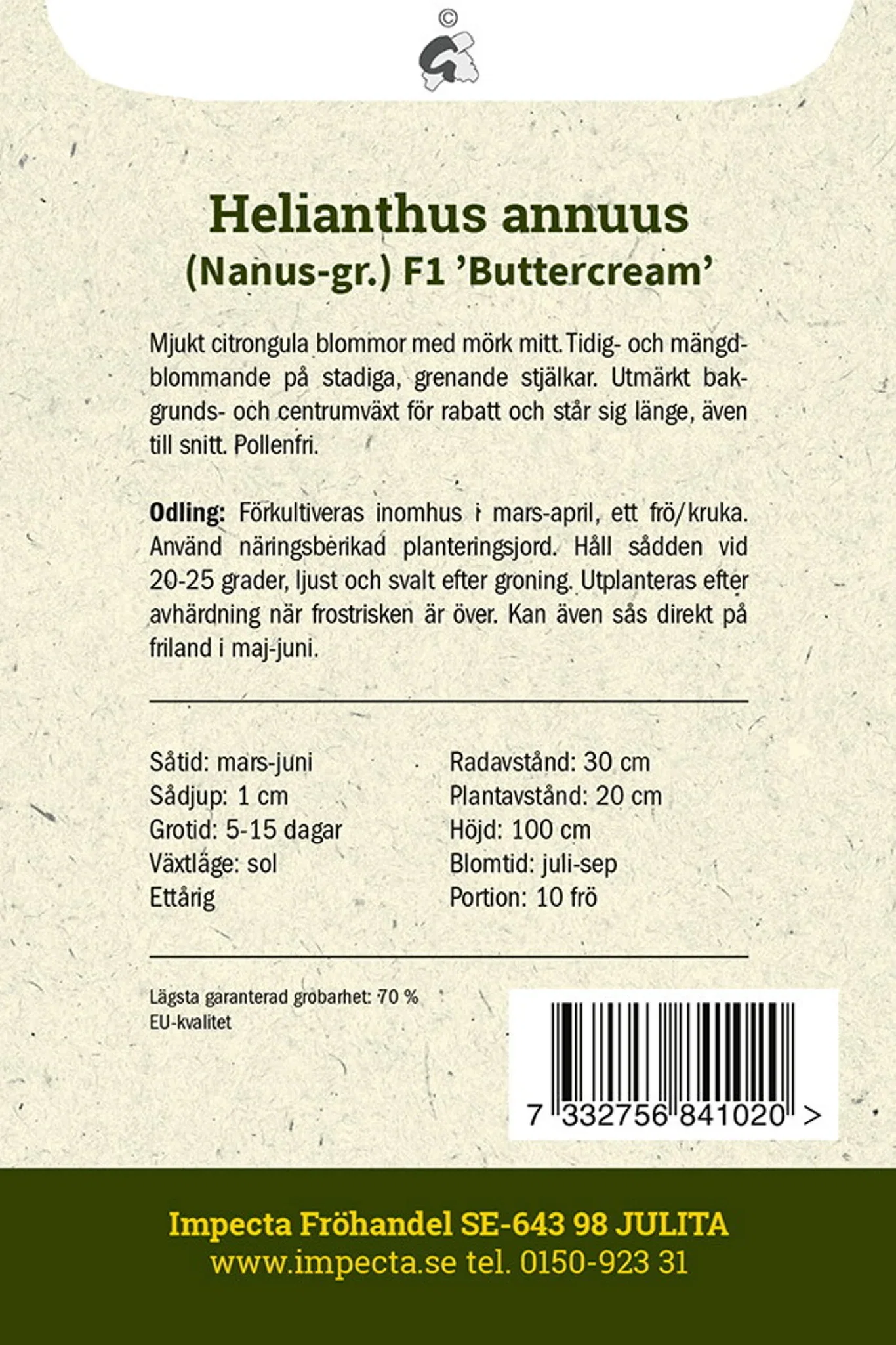 Liten Solros F1 'Buttercream'