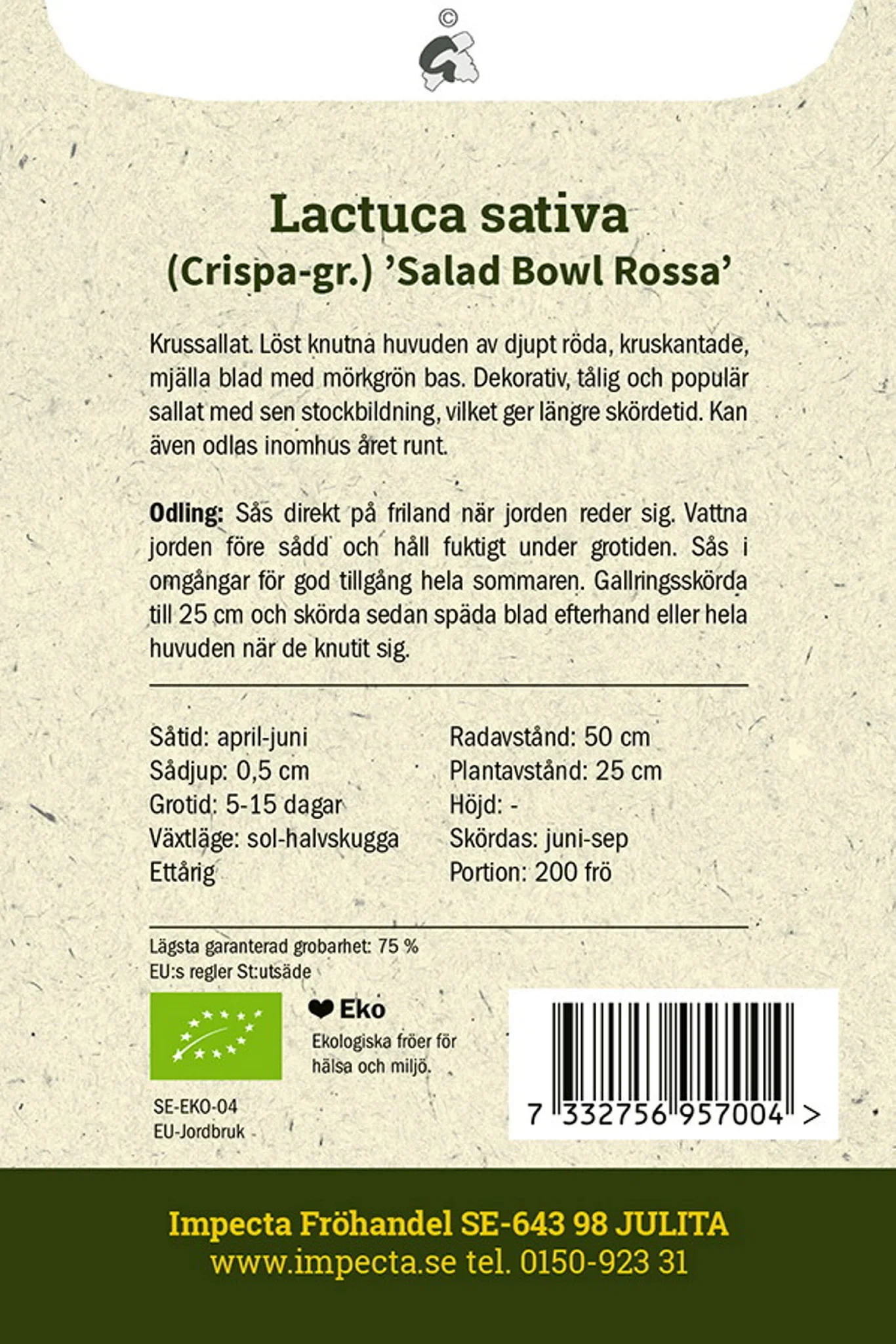 Plocksallat 'Salad Bowl Rossa'