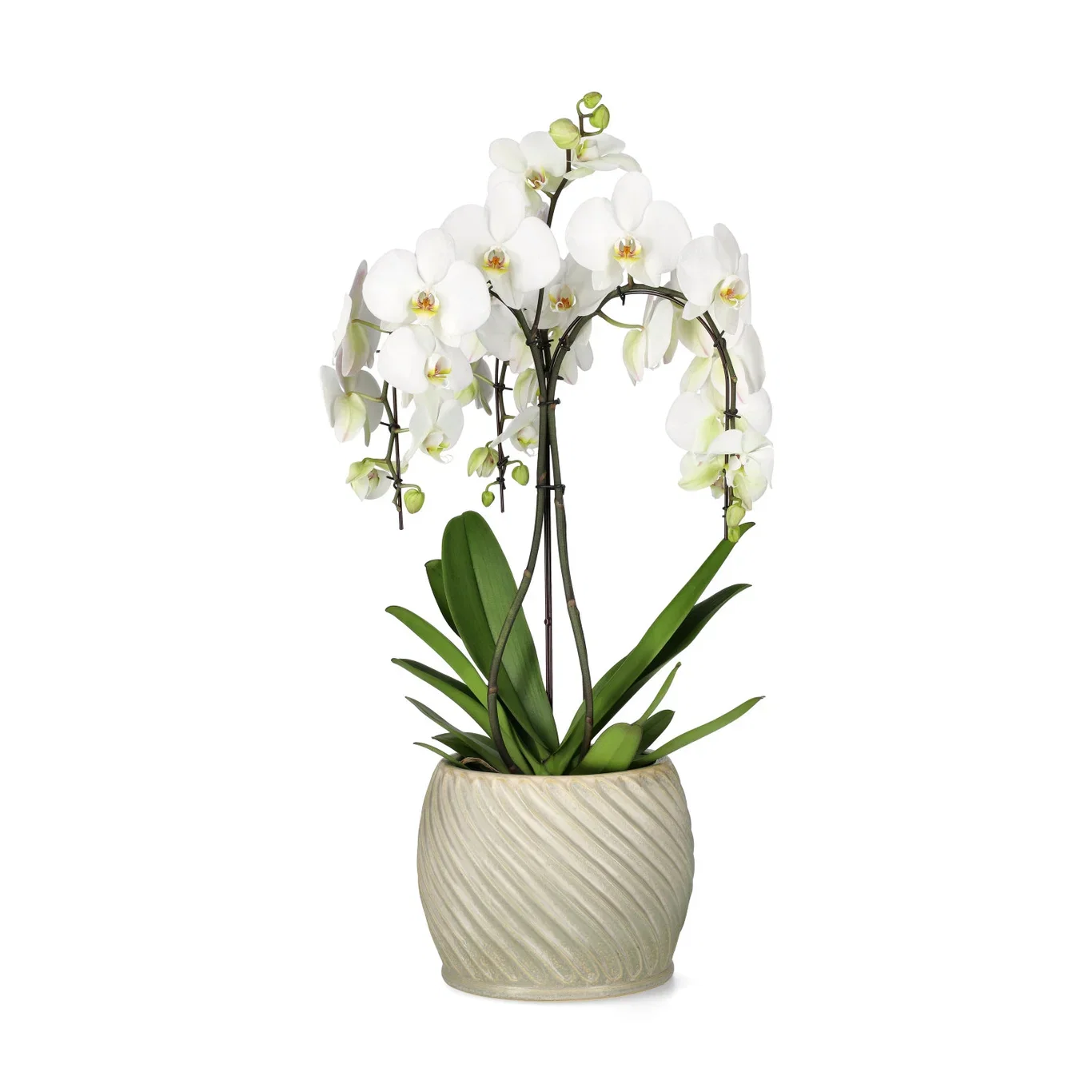 Twisted pot D 26 green