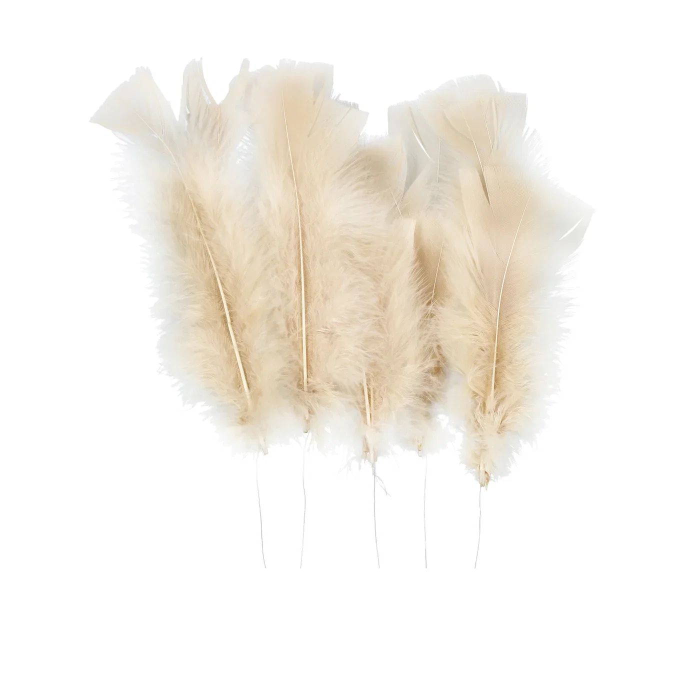 Easter decor Feather