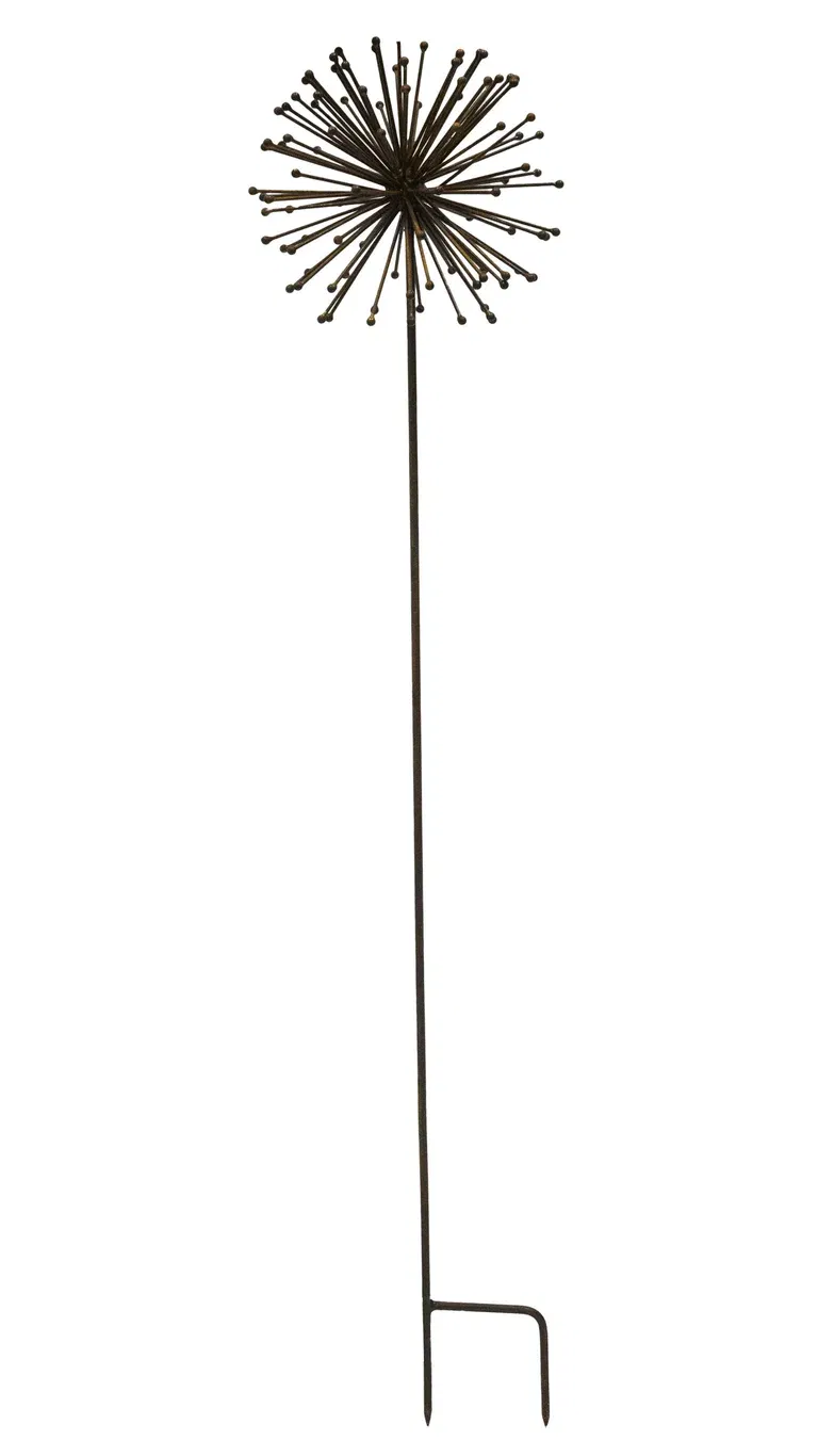 Dekorationspinne Allium