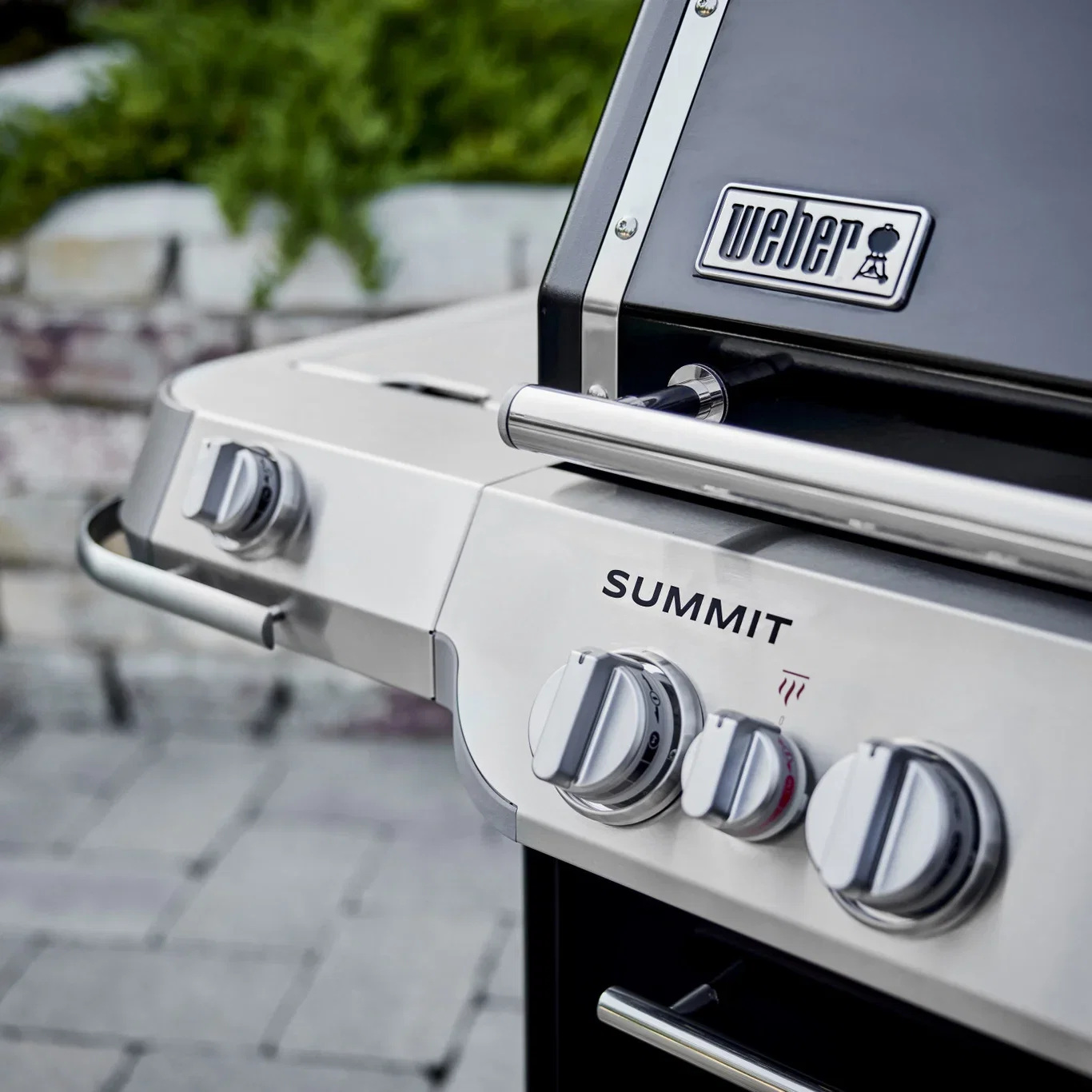 Gas Grill Summit E FS38