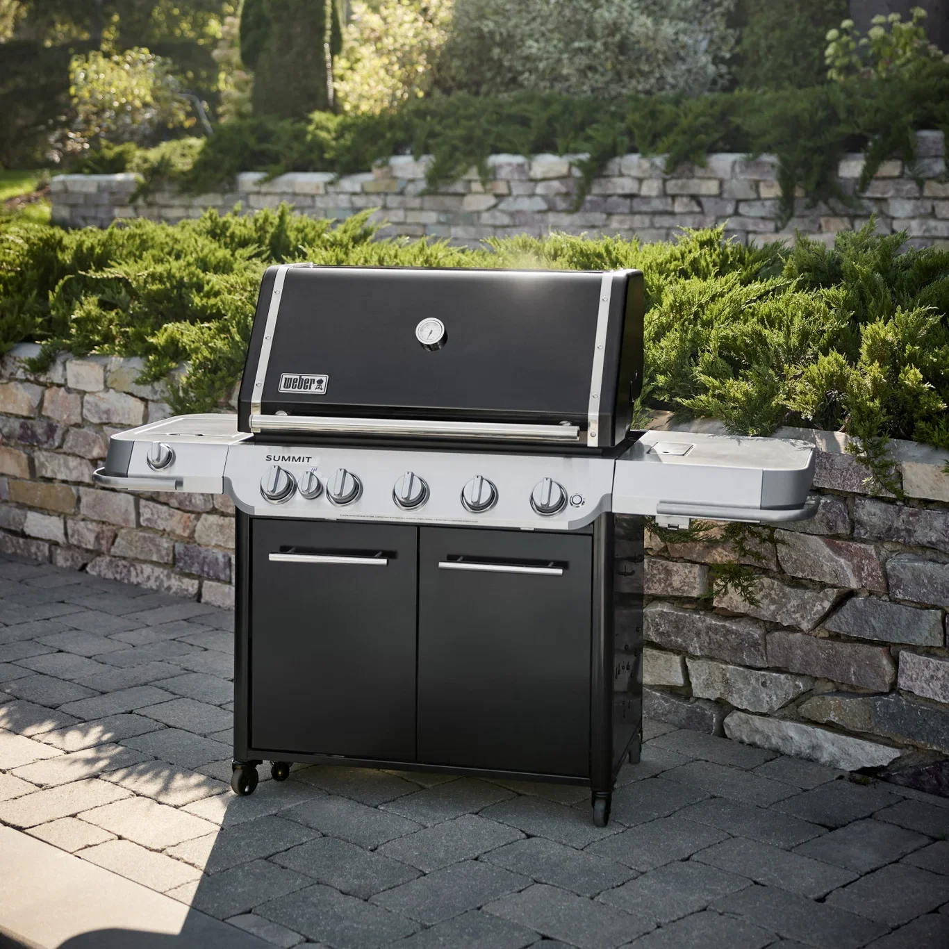 Gas Grill Summit E FS38