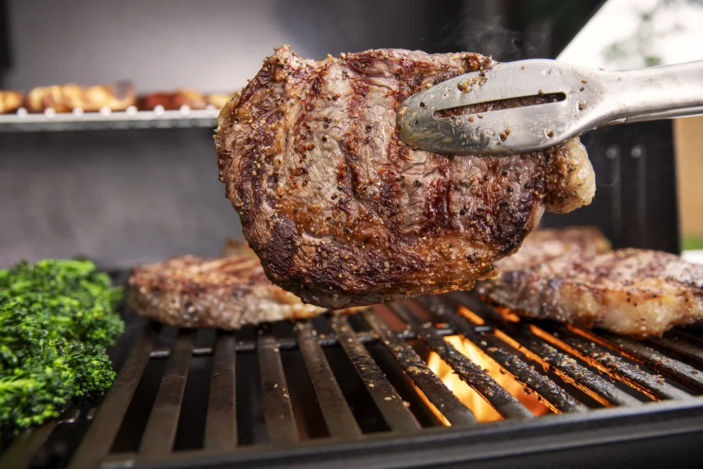 Gasolgrill Genesis E-315