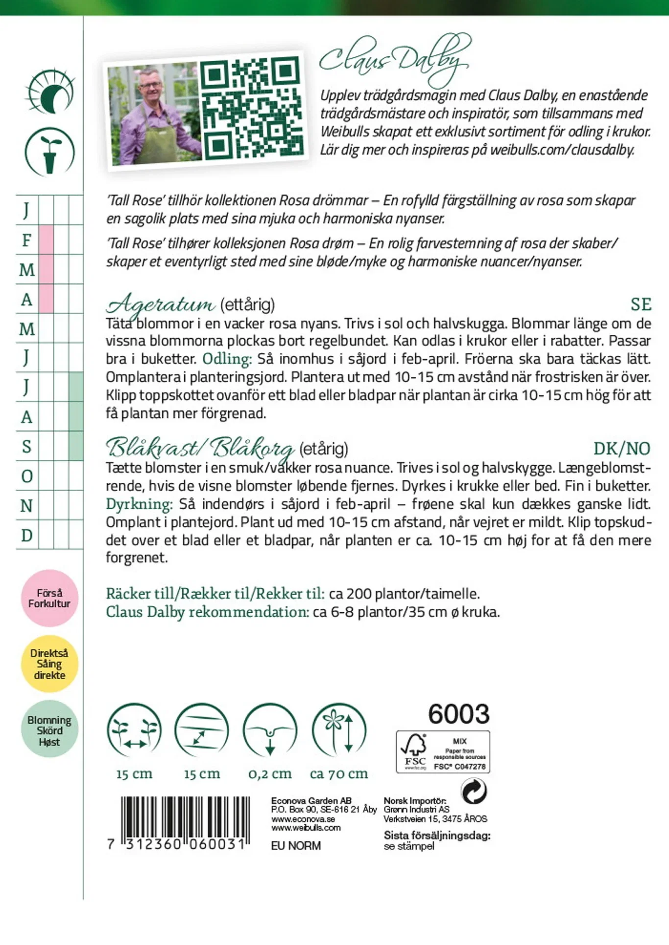 Ageratum 'Tall Rose'