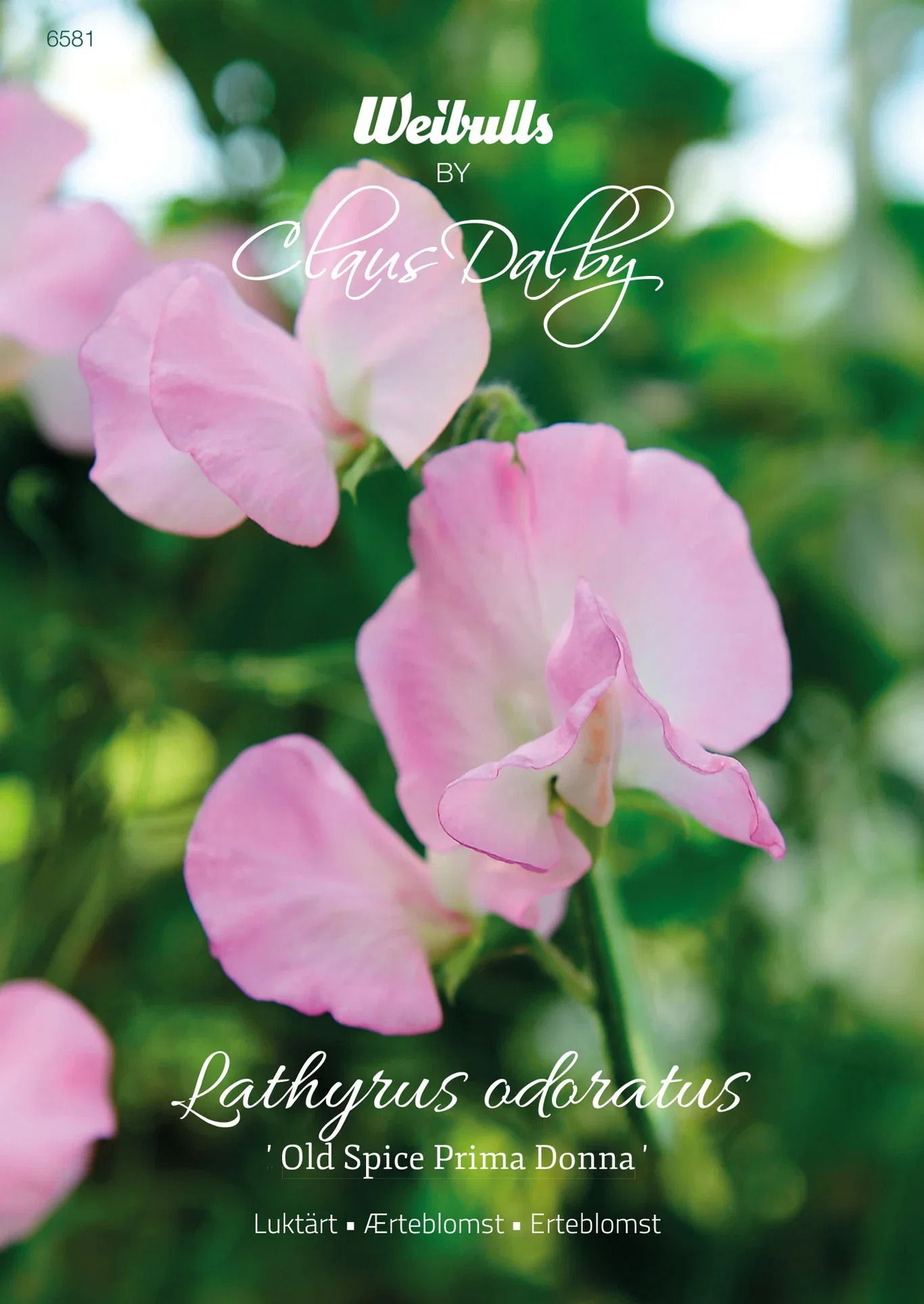 Luktärt 'Old Spice Prima Donna'