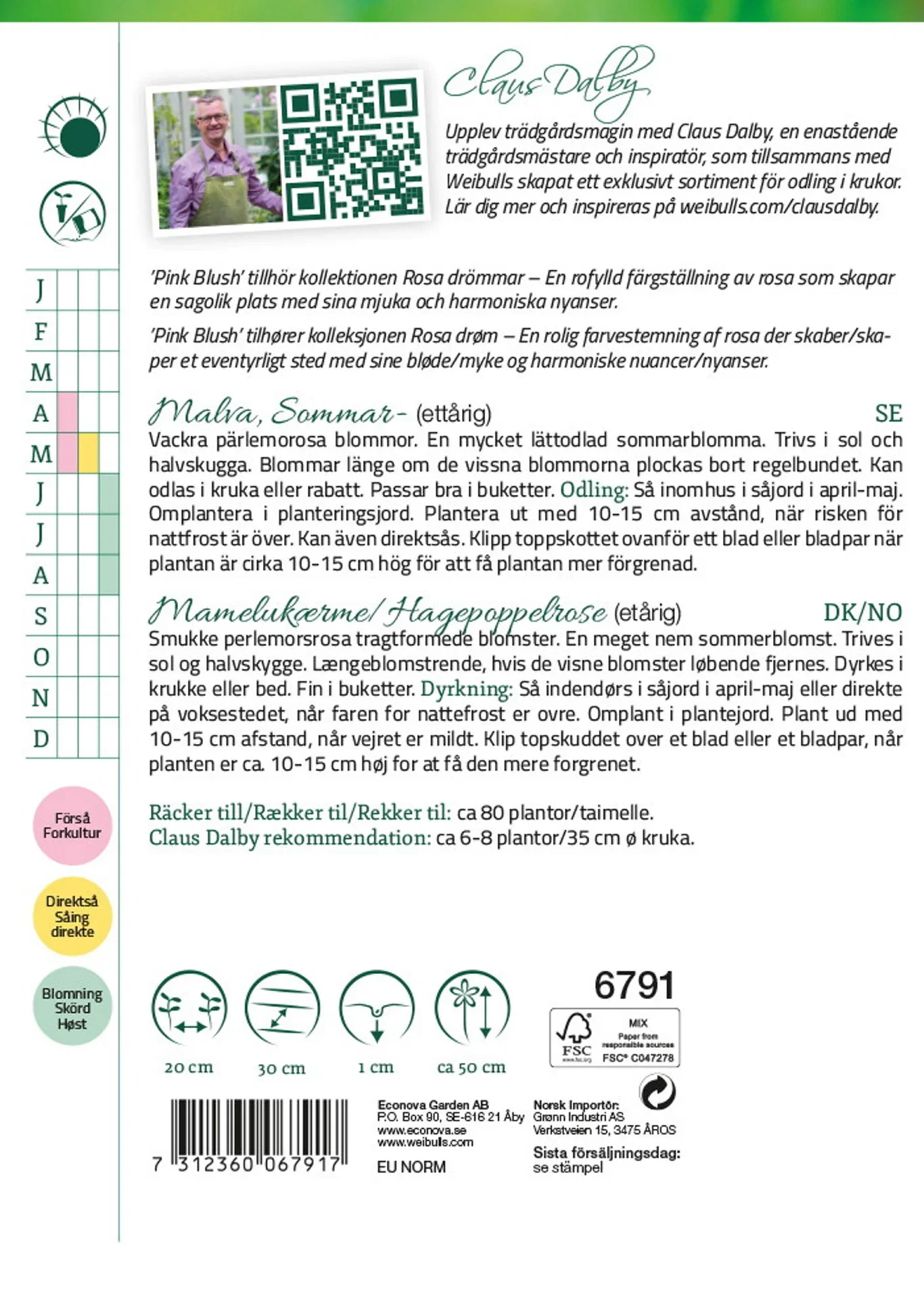 Malva, Sommar- Pink Blush