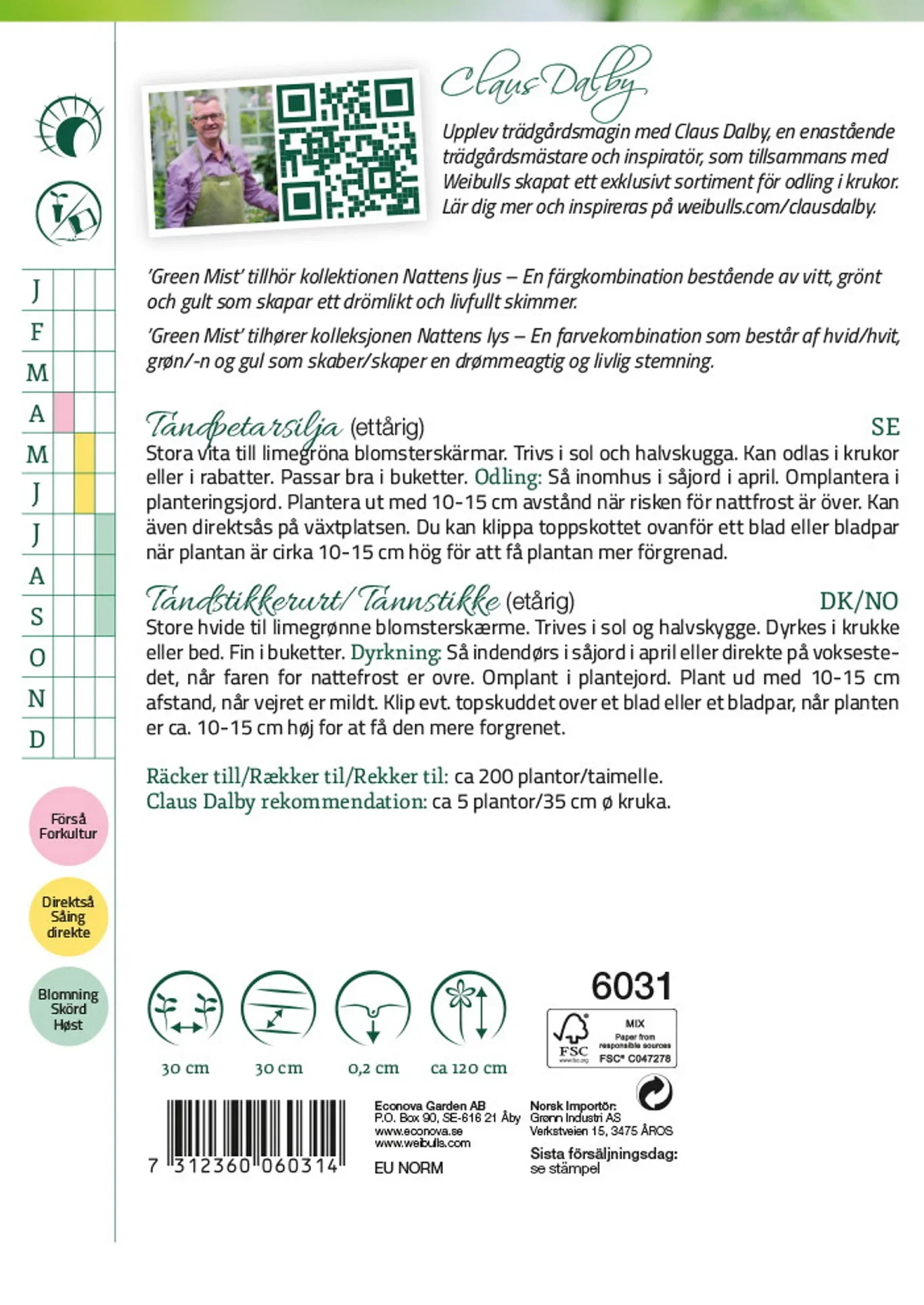 Tandpetarsilja 'Green Mist'
