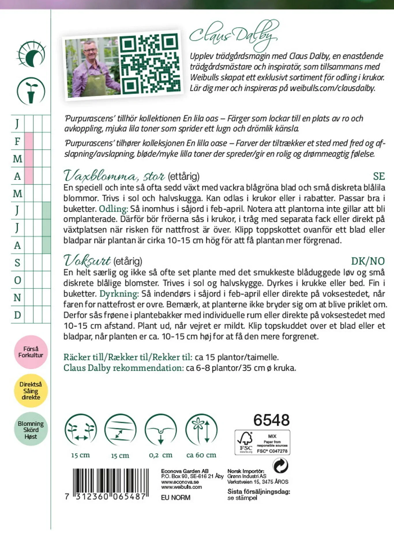 Stor vaxblomma 'Purpurascens'