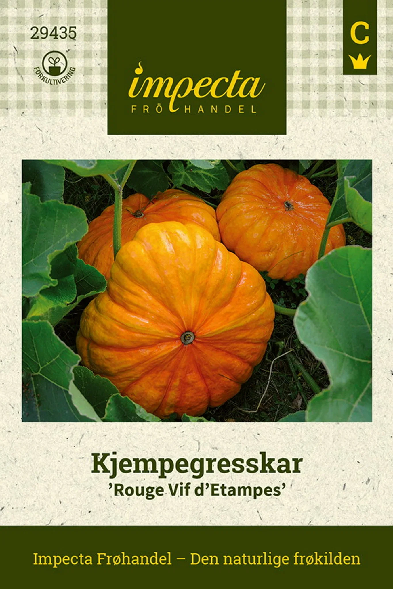 Kjempegresskar 'Rouge Vif d'Etampes'